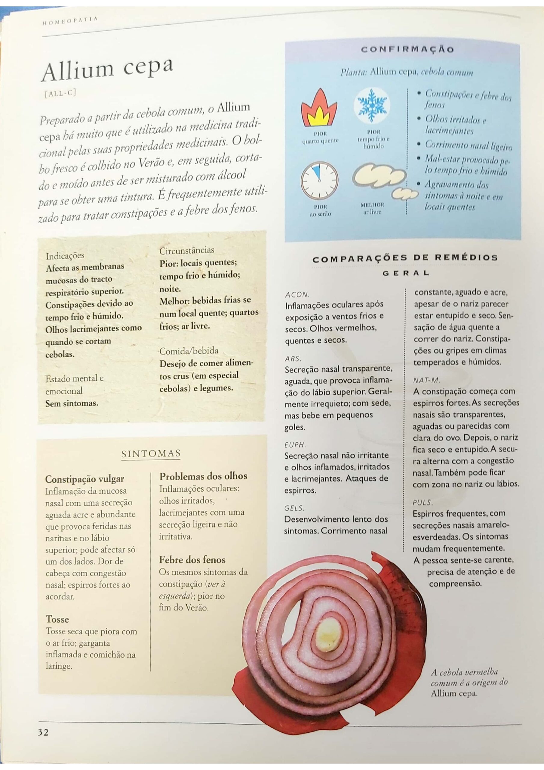 Allium cepa_pages-to-jpg-0002