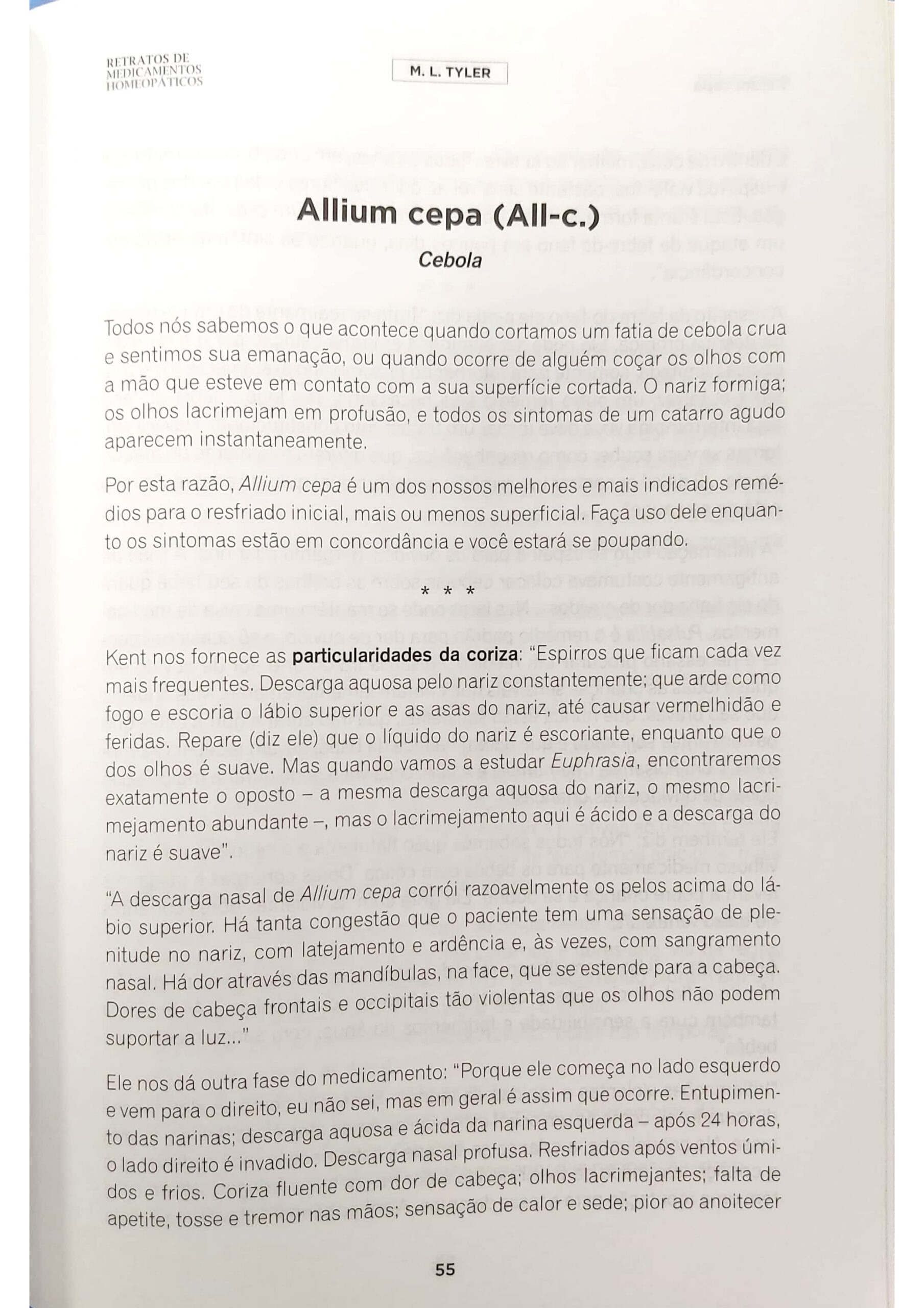 Allium cepa_pages-to-jpg-0004