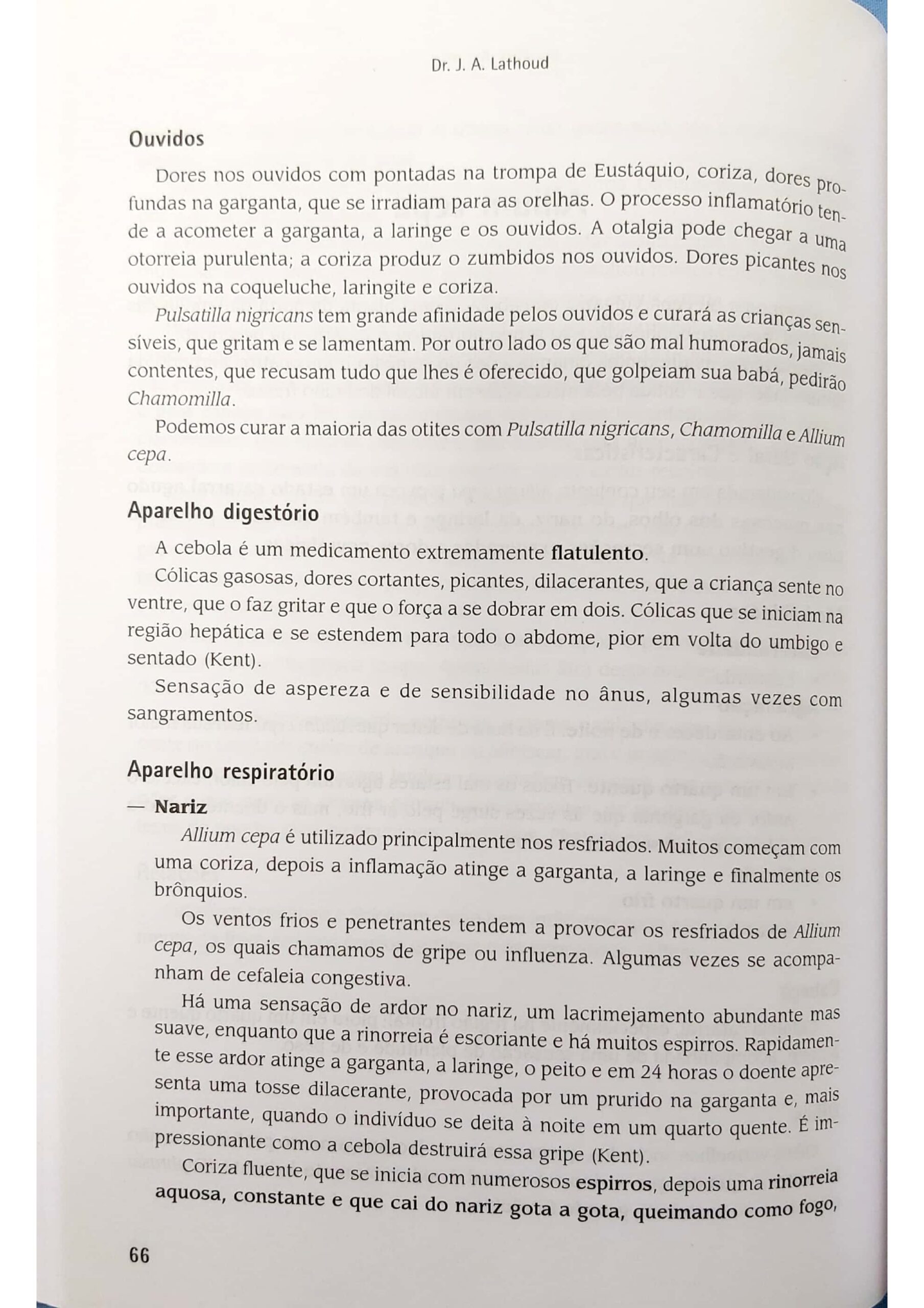 Allium cepa_pages-to-jpg-0010