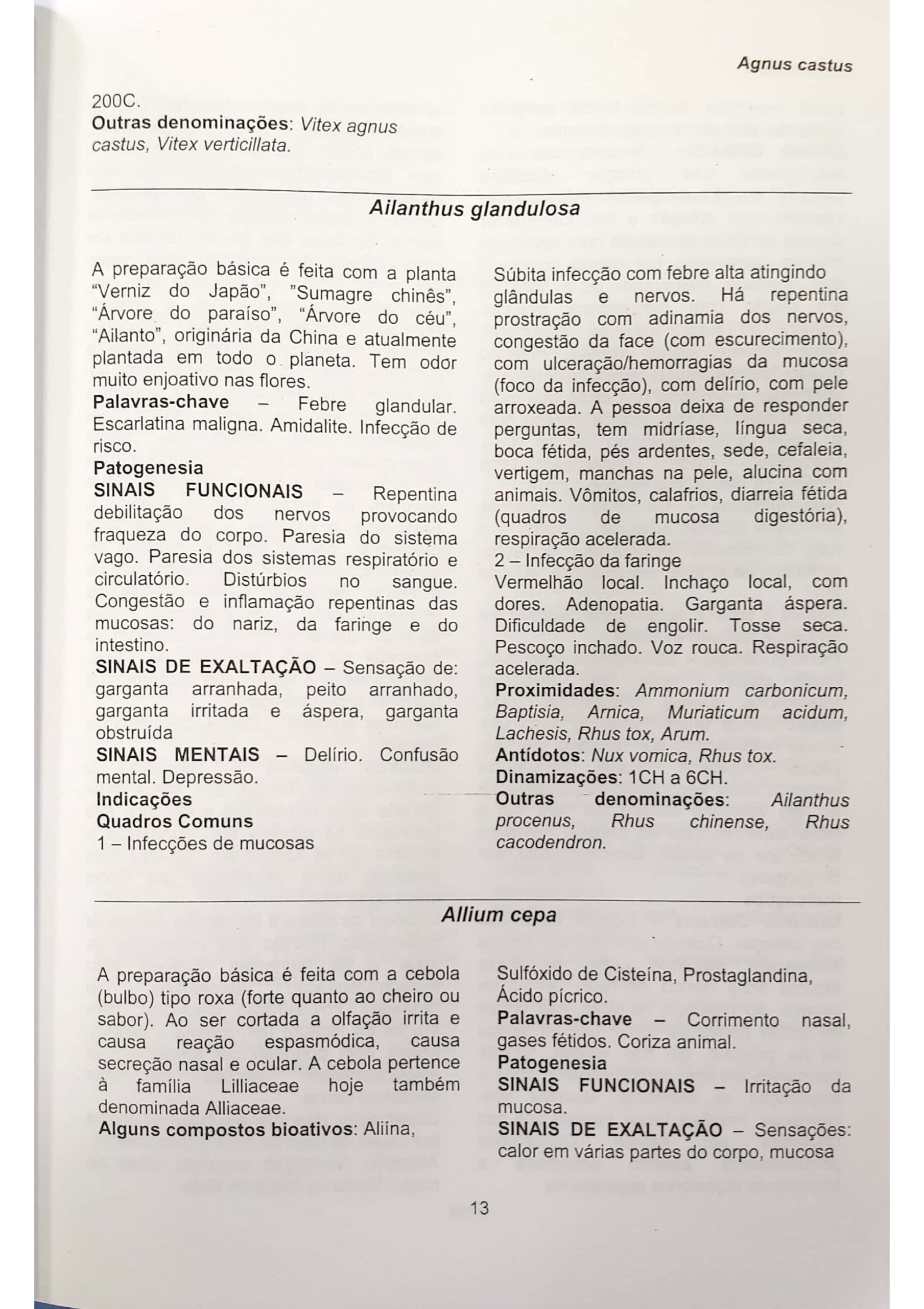 Allium cepa_pages-to-jpg-0014