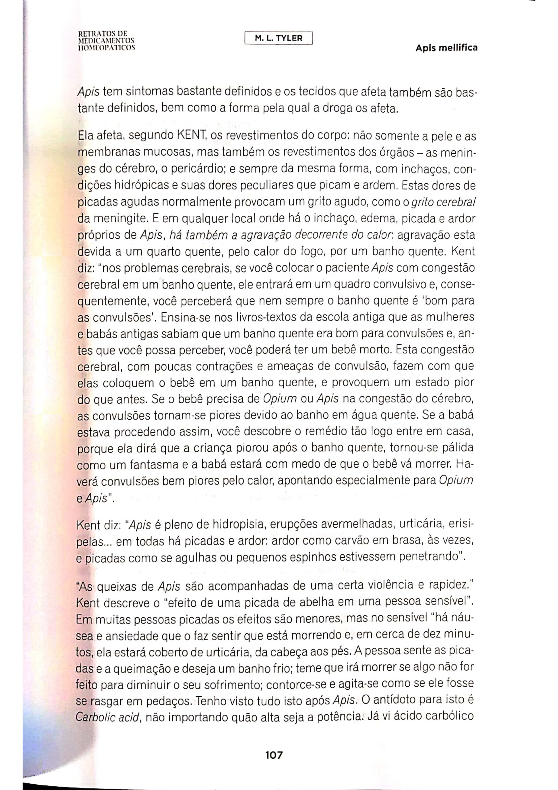 Apis melifica_page-0004