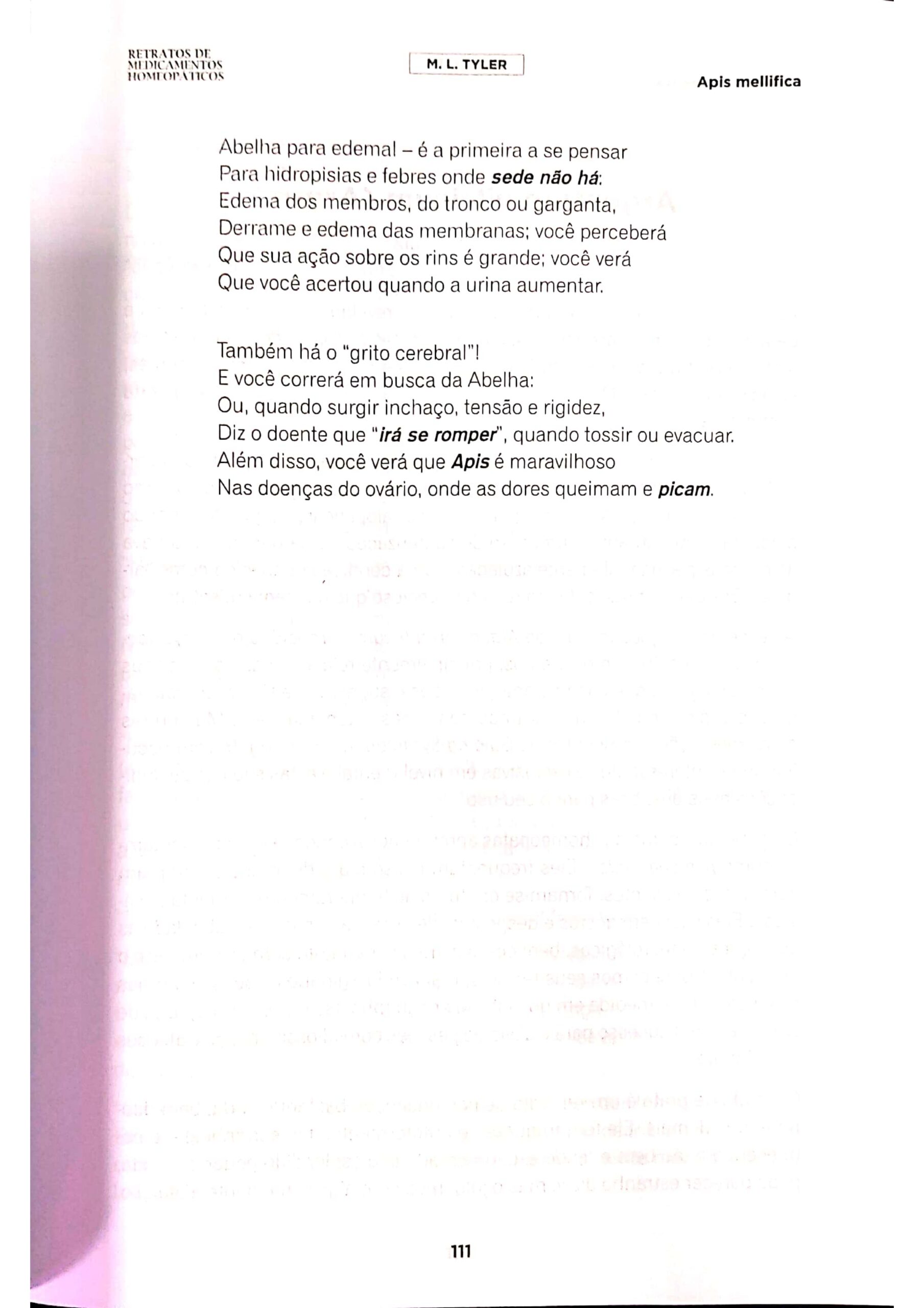 Apis melifica_page-0008