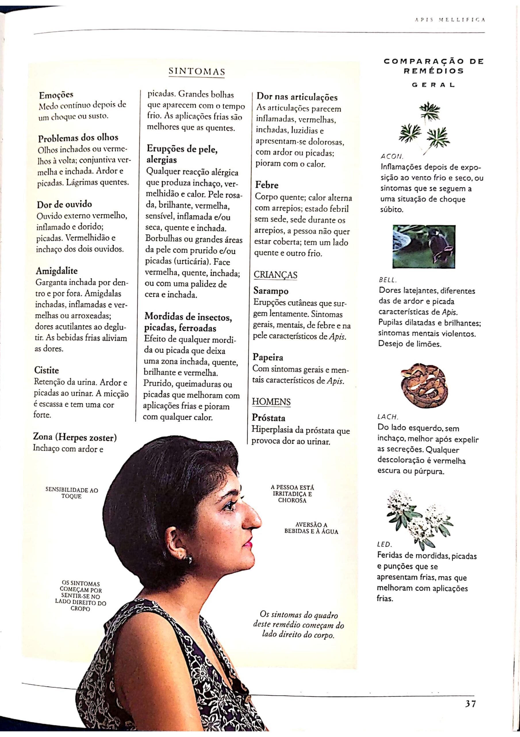 Apis melifica_page-0011