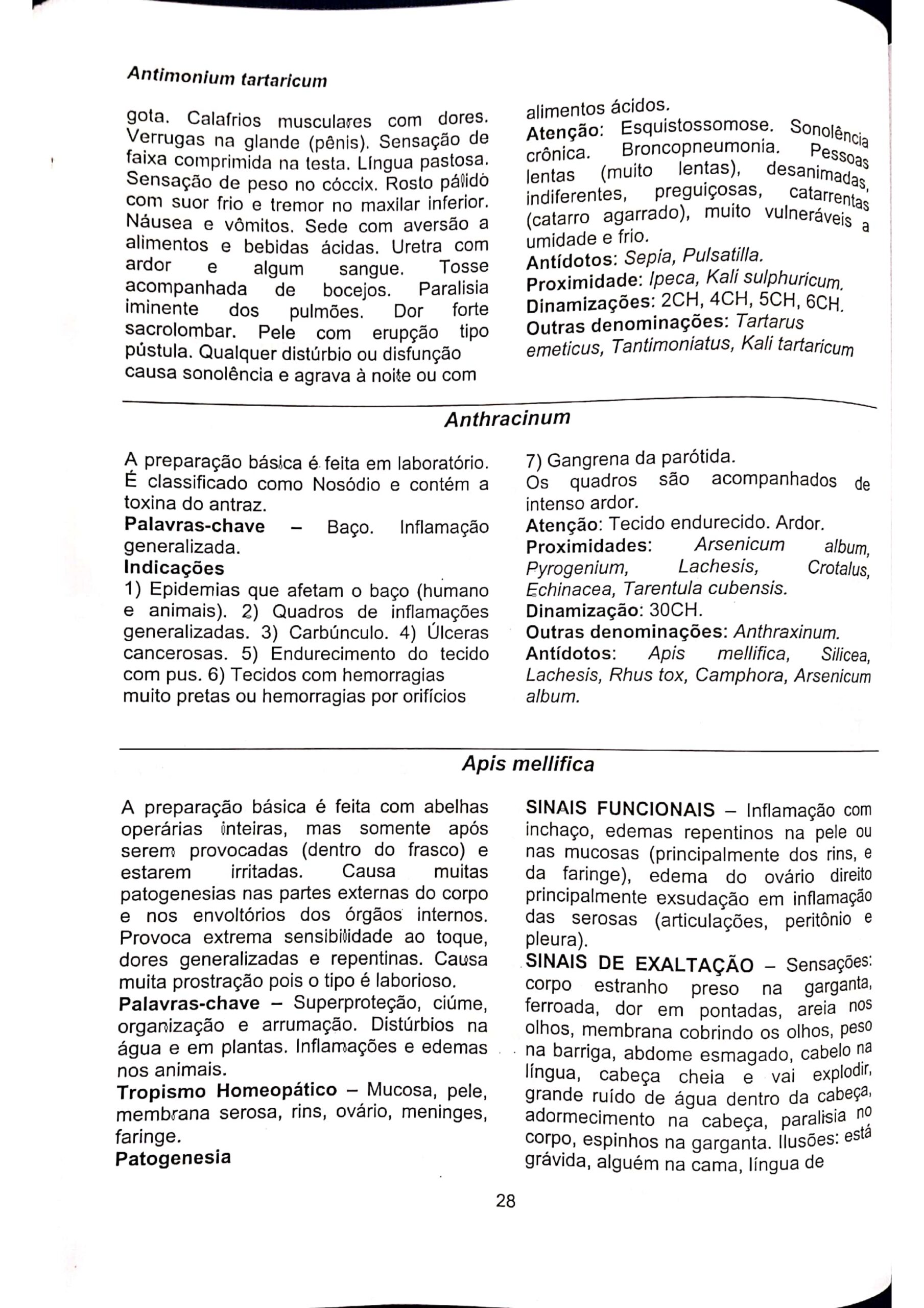 Apis melifica_page-0013