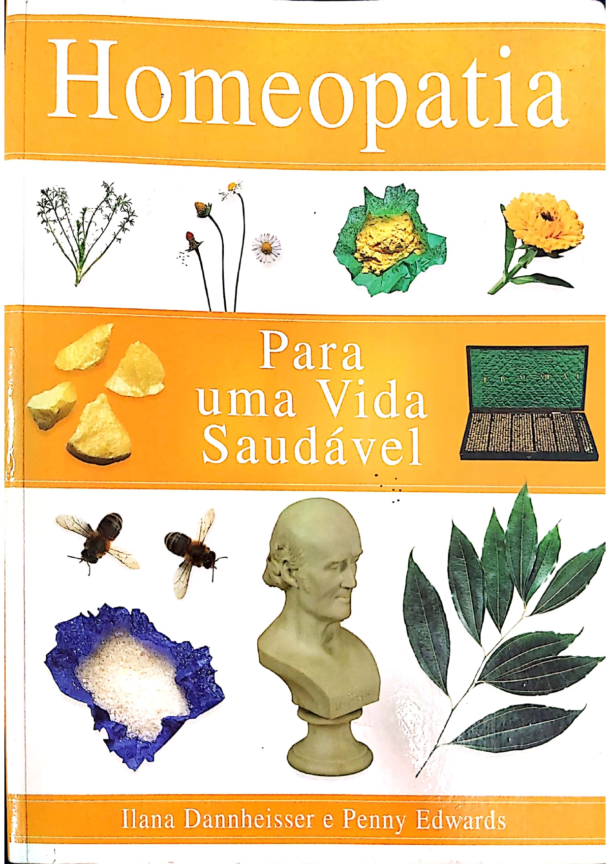 Arnica montana_pages-to-jpg-0012