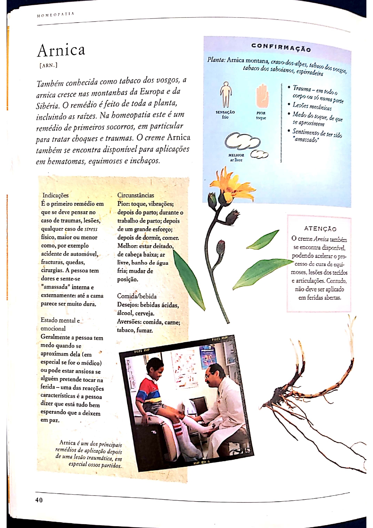 Arnica montana_pages-to-jpg-0013