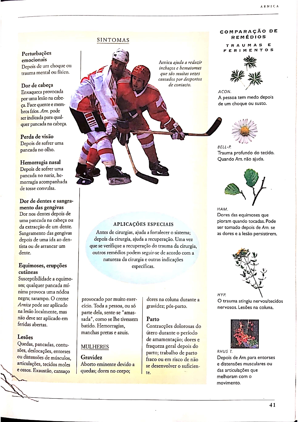 Arnica montana_pages-to-jpg-0014