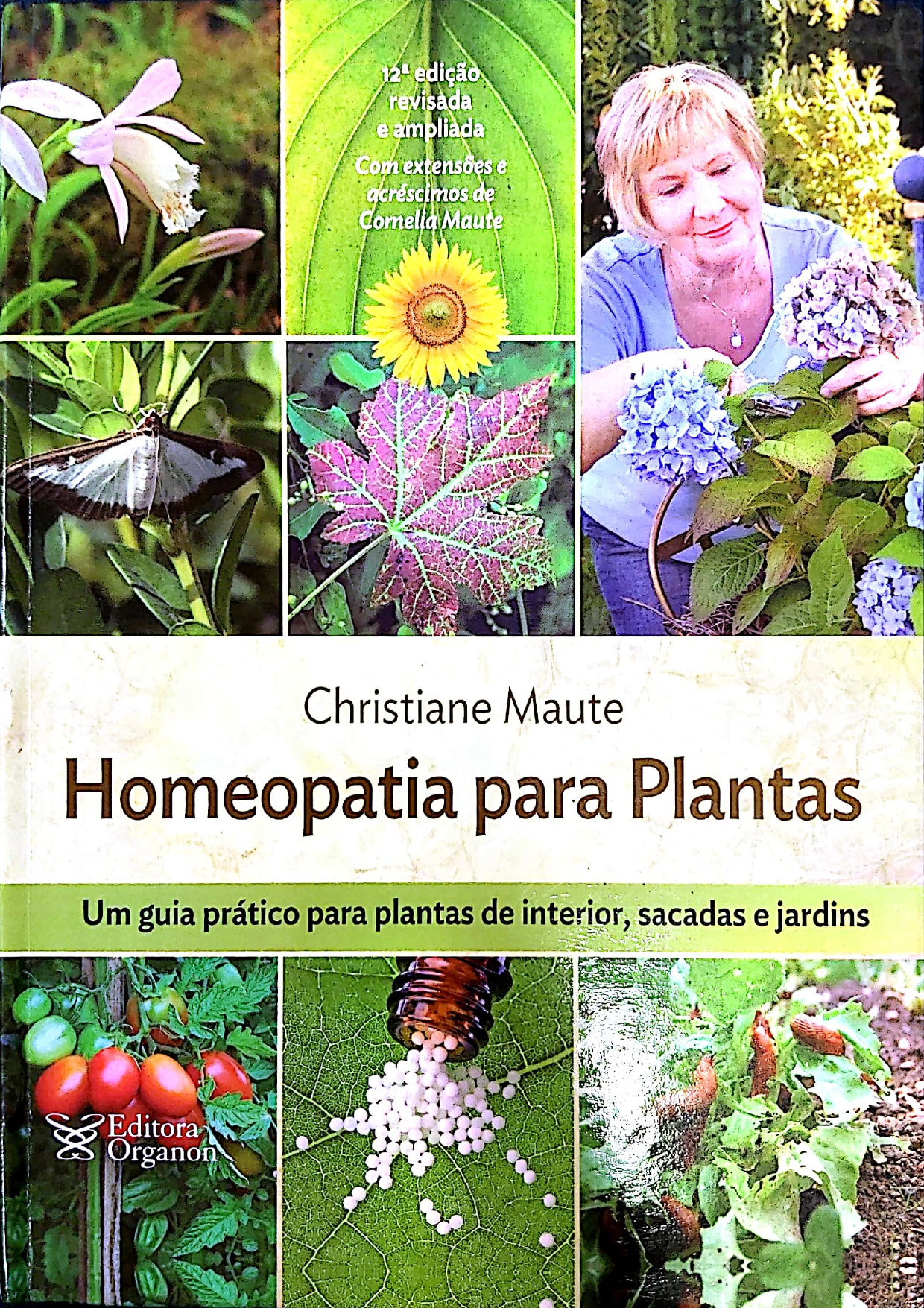 Arnica montana_pages-to-jpg-0020