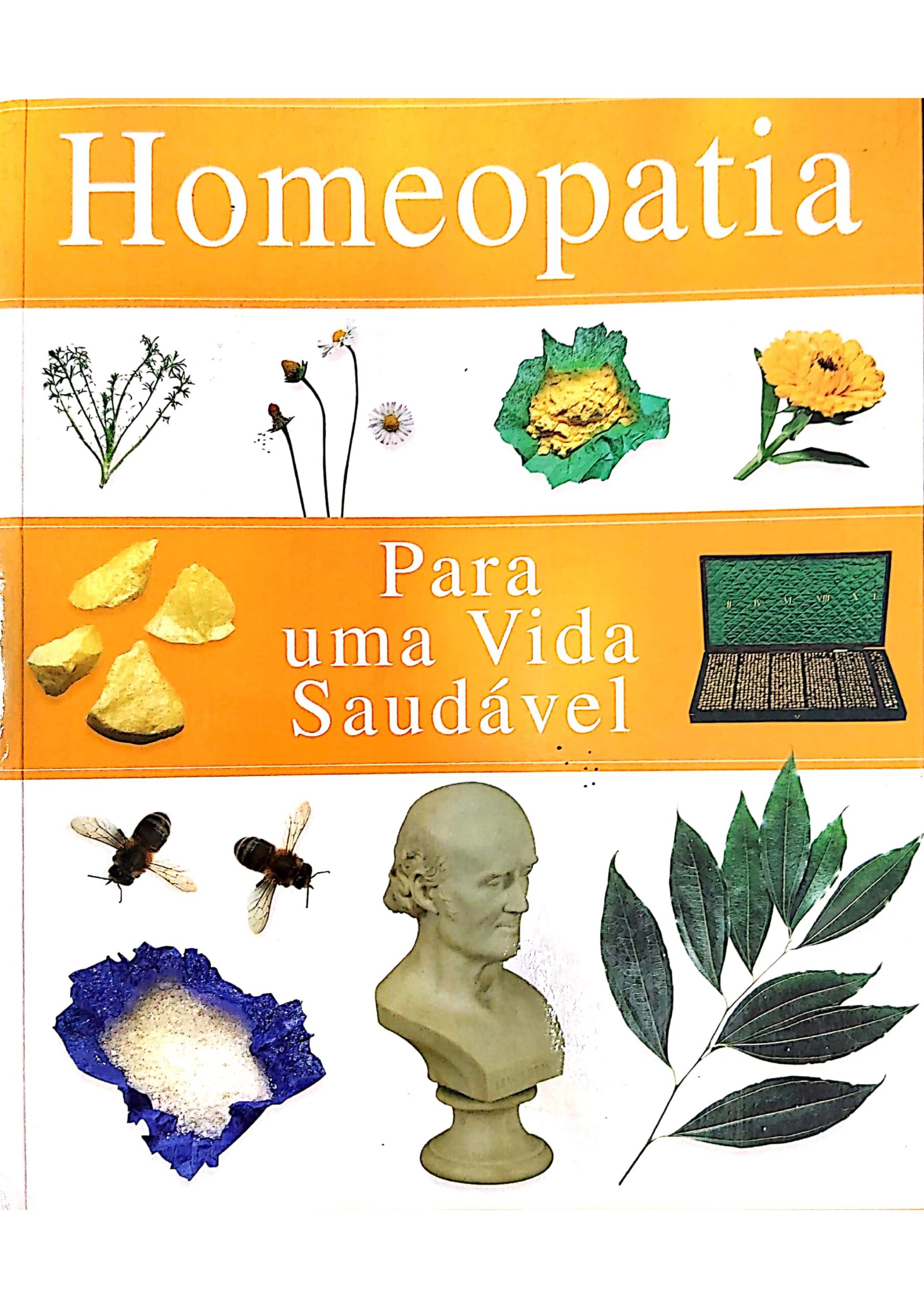 Arsenicum album_pages-to-jpg-0013