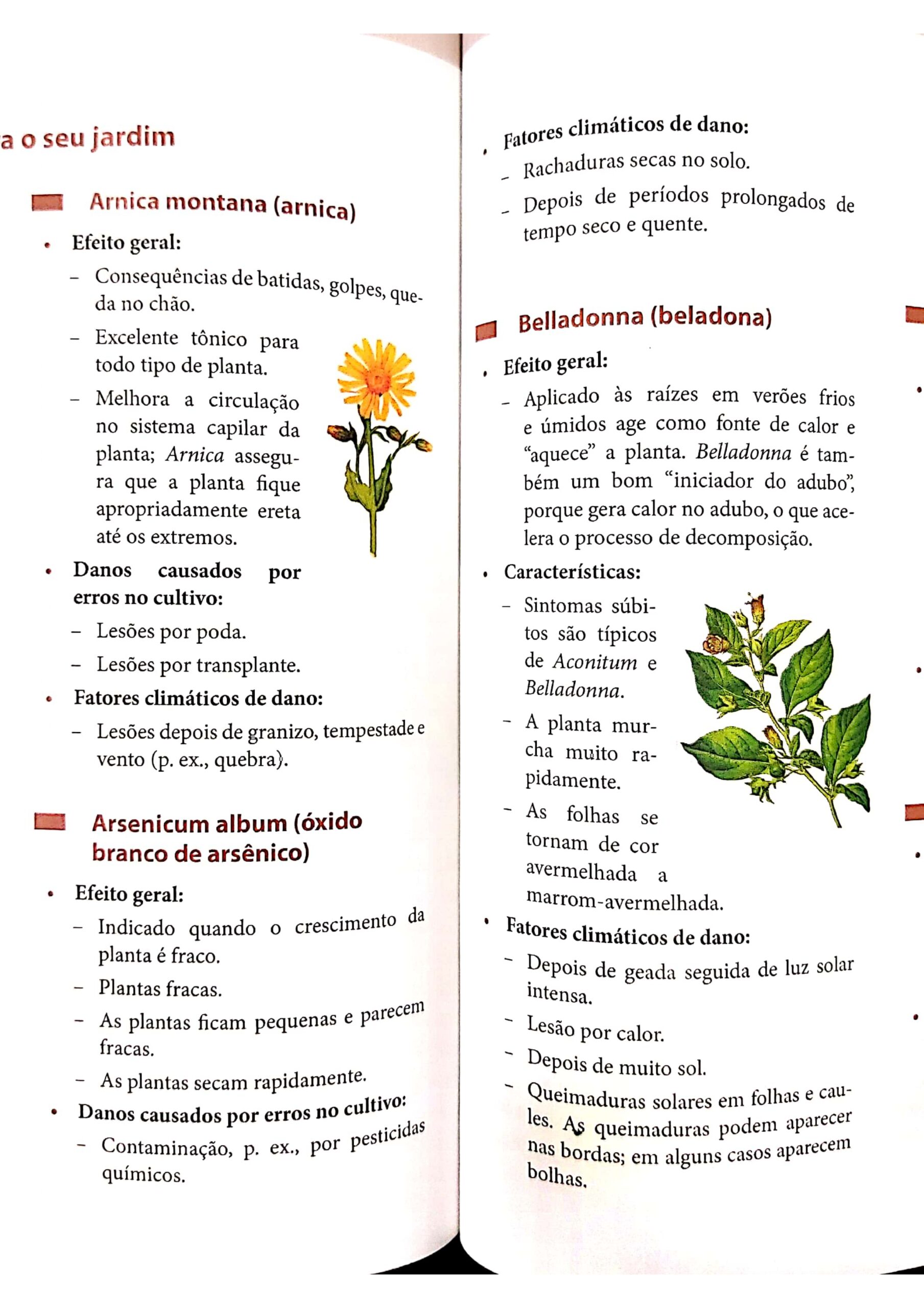 Arsenicum album_pages-to-jpg-0023