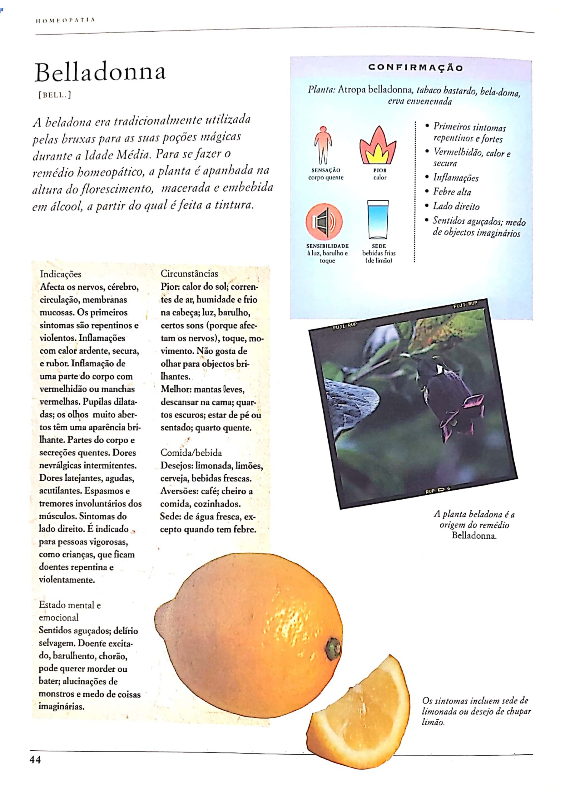 Belladonna_page-0002