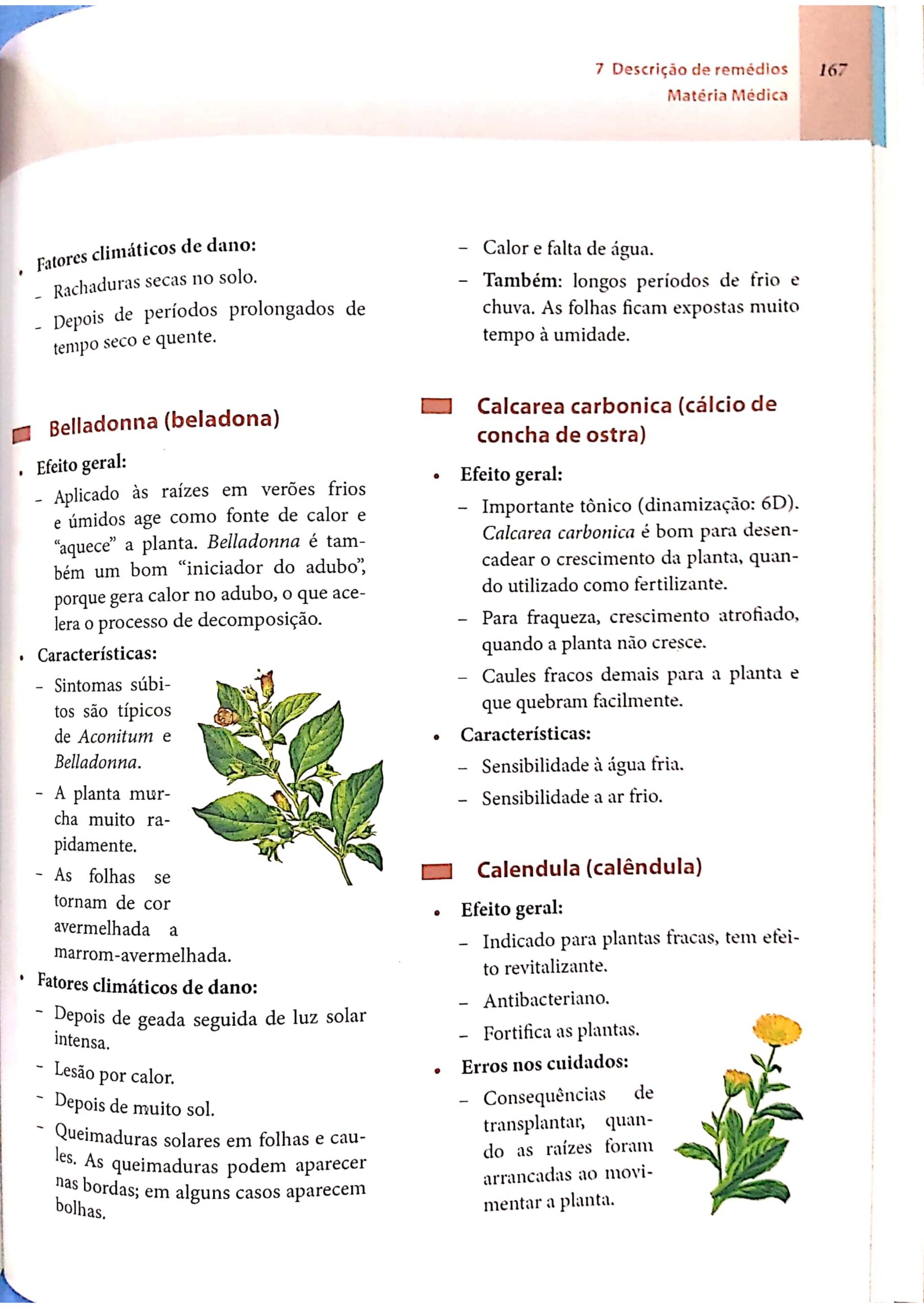 Belladonna_page-0019