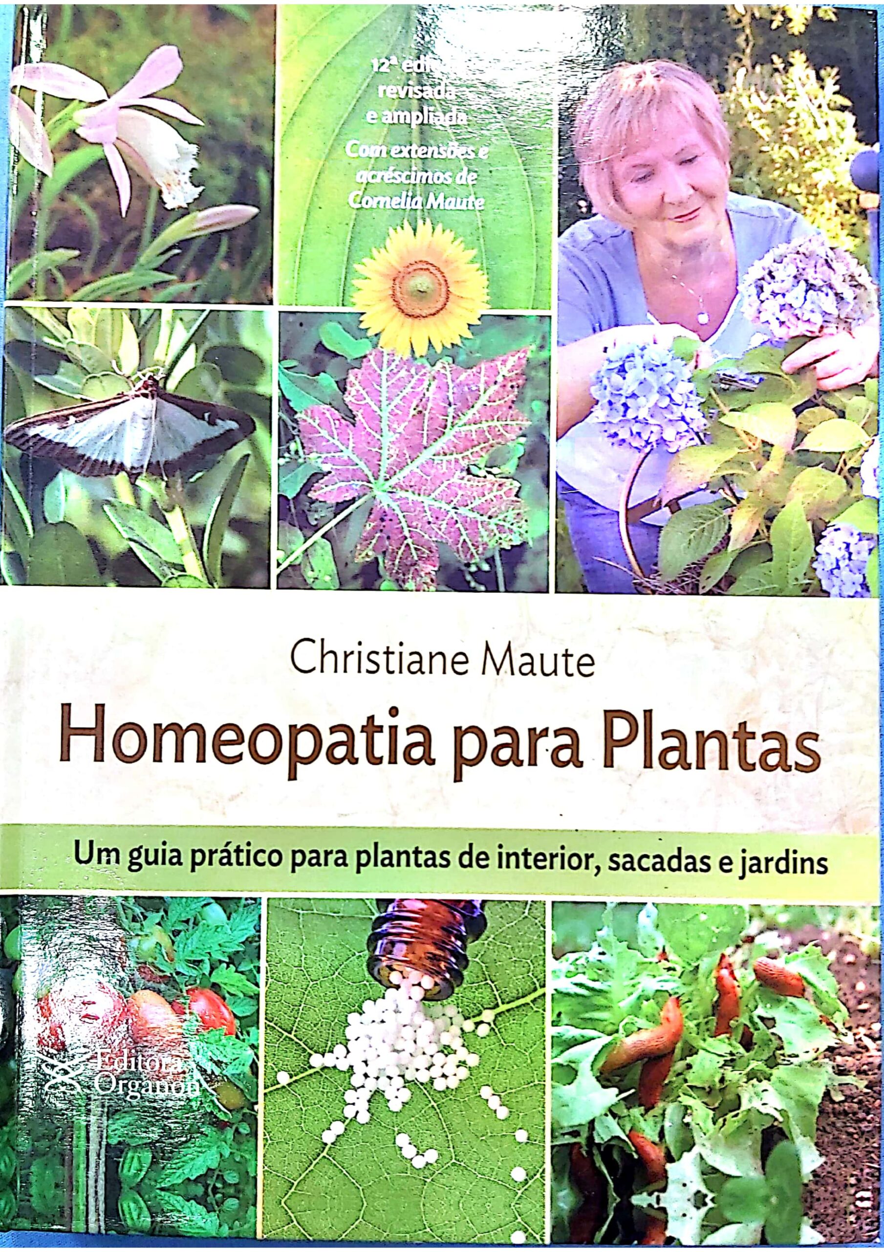 Calcarea carbonica_page-0018