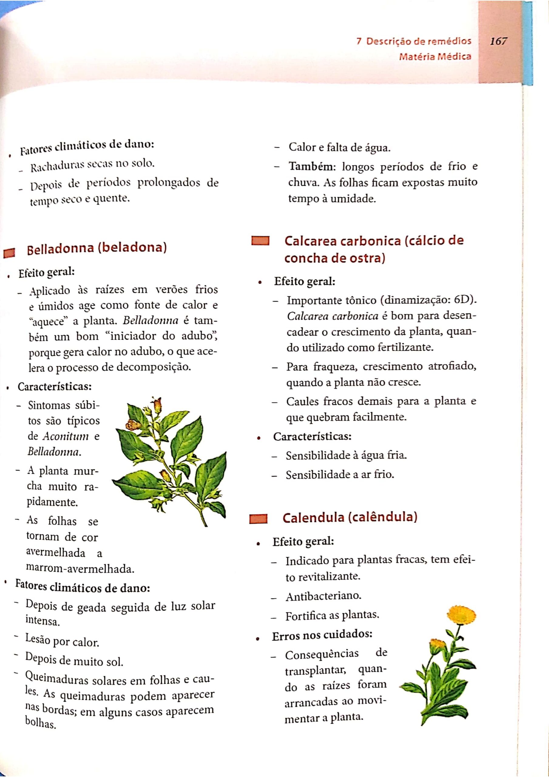 Calcarea carbonica_page-0019