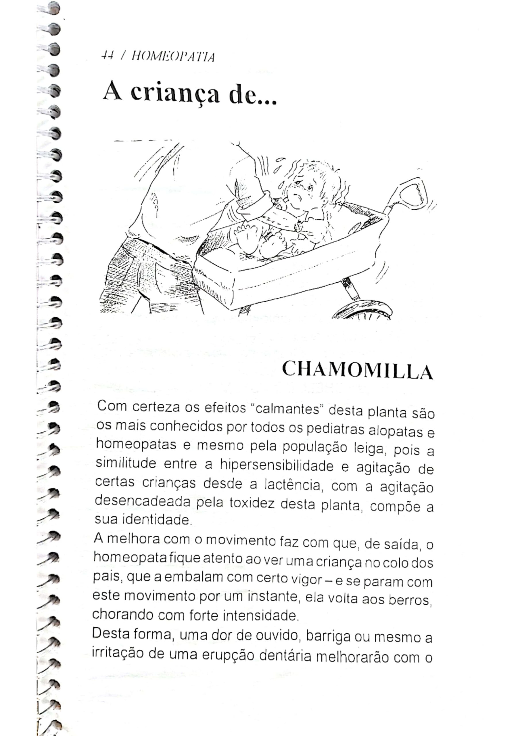 Chamomila_page-0016