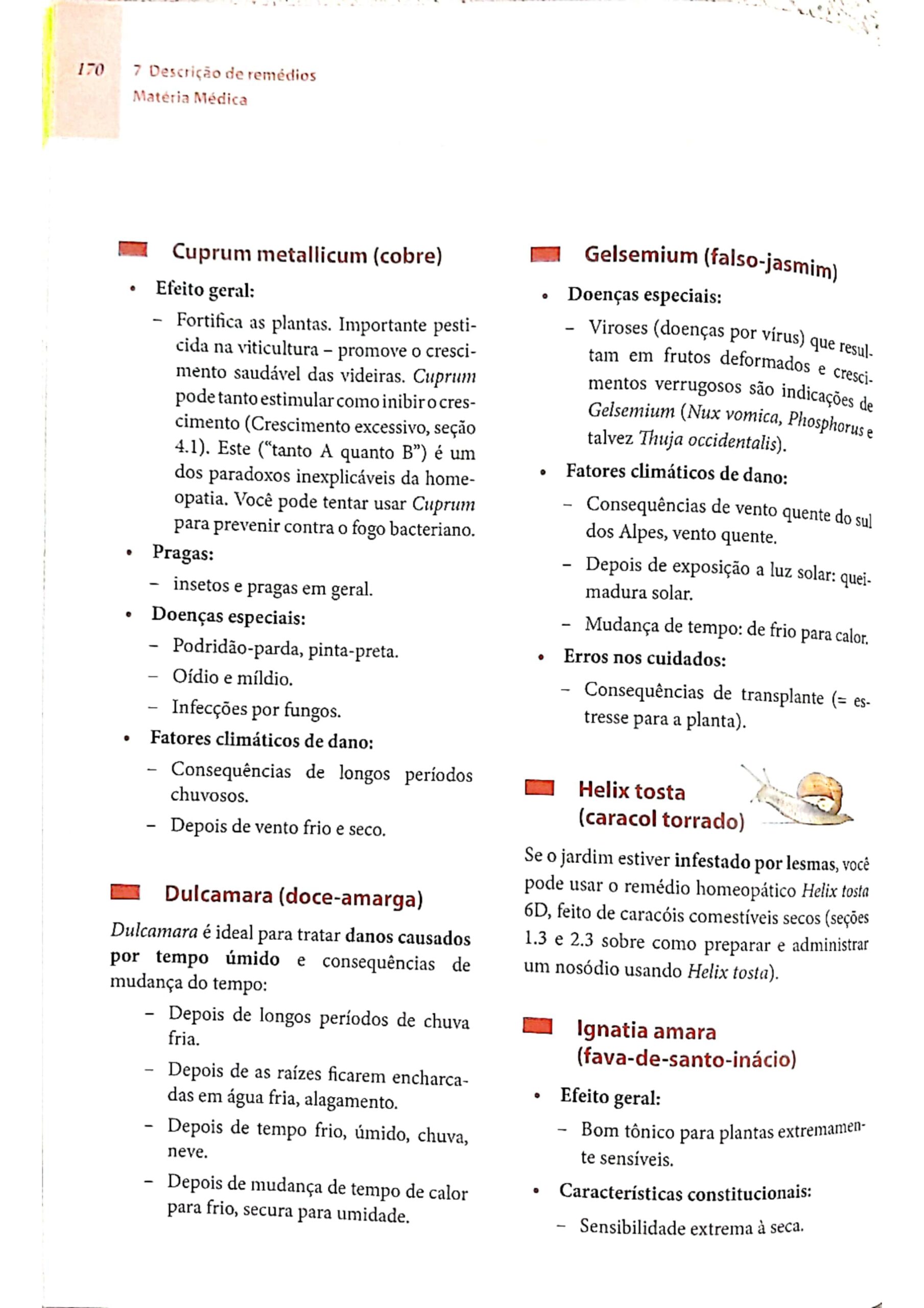Ignatia amara (1)_page-0016
