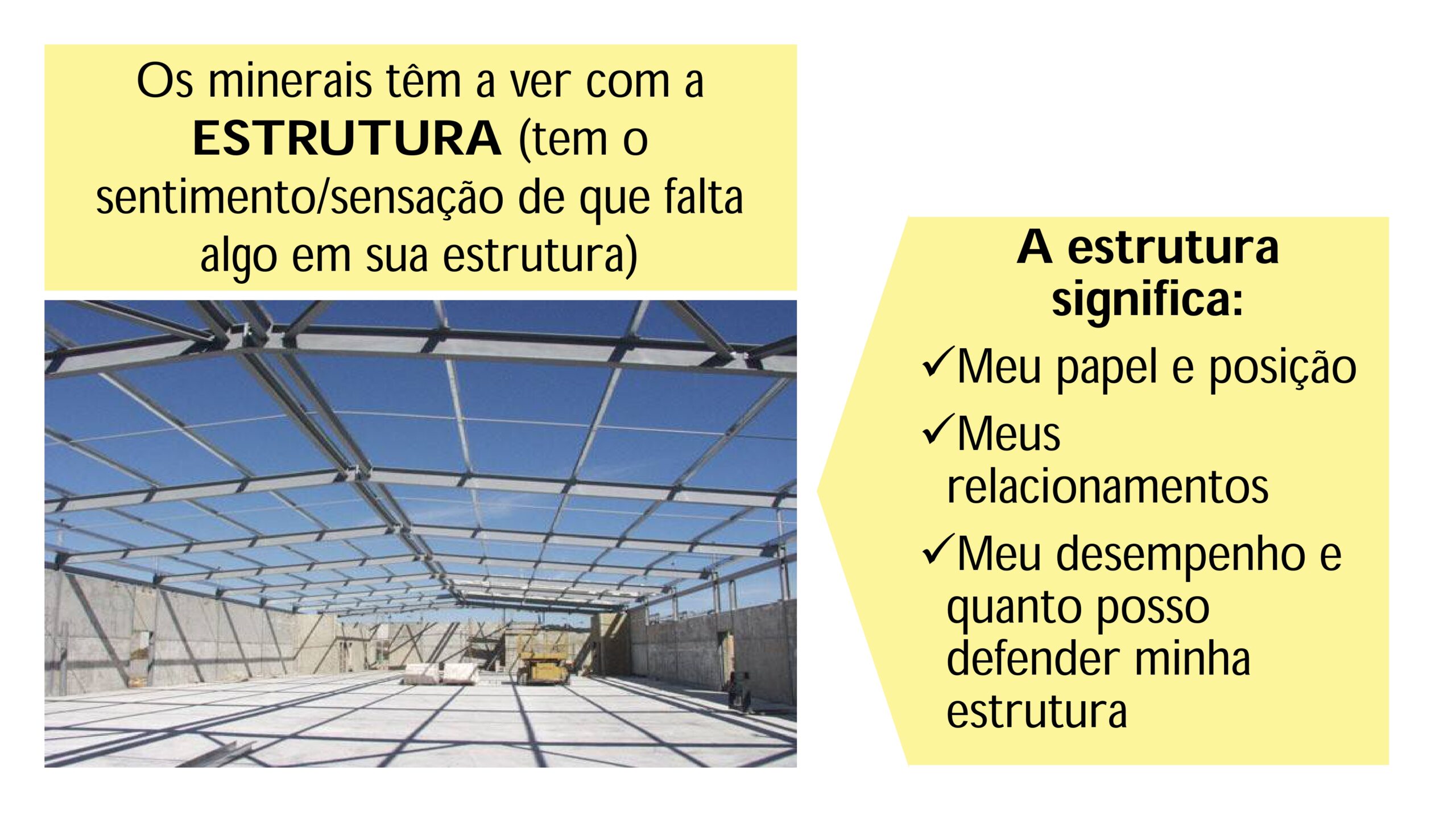 Intrudução ao estudo das Matérias Médicas - Profa. Tarita Deboni_page-0011
