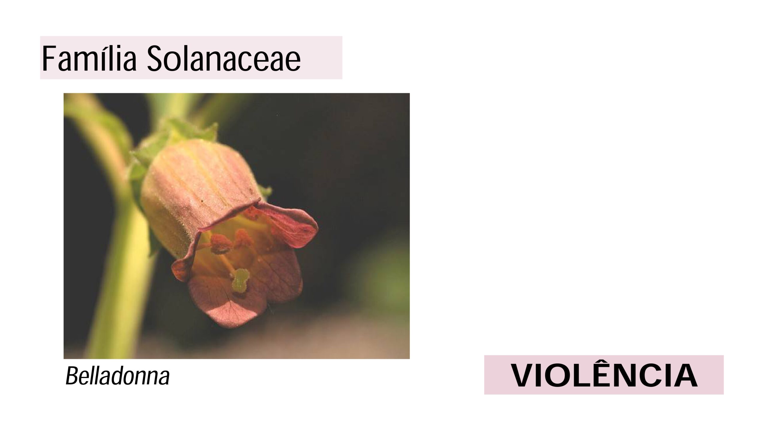 Intrudução ao estudo das Matérias Médicas - Profa. Tarita Deboni_page-0017