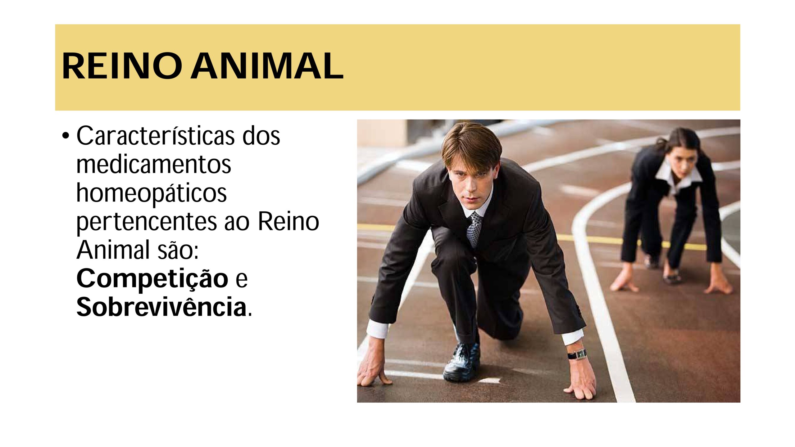 Intrudução ao estudo das Matérias Médicas - Profa. Tarita Deboni_page-0020