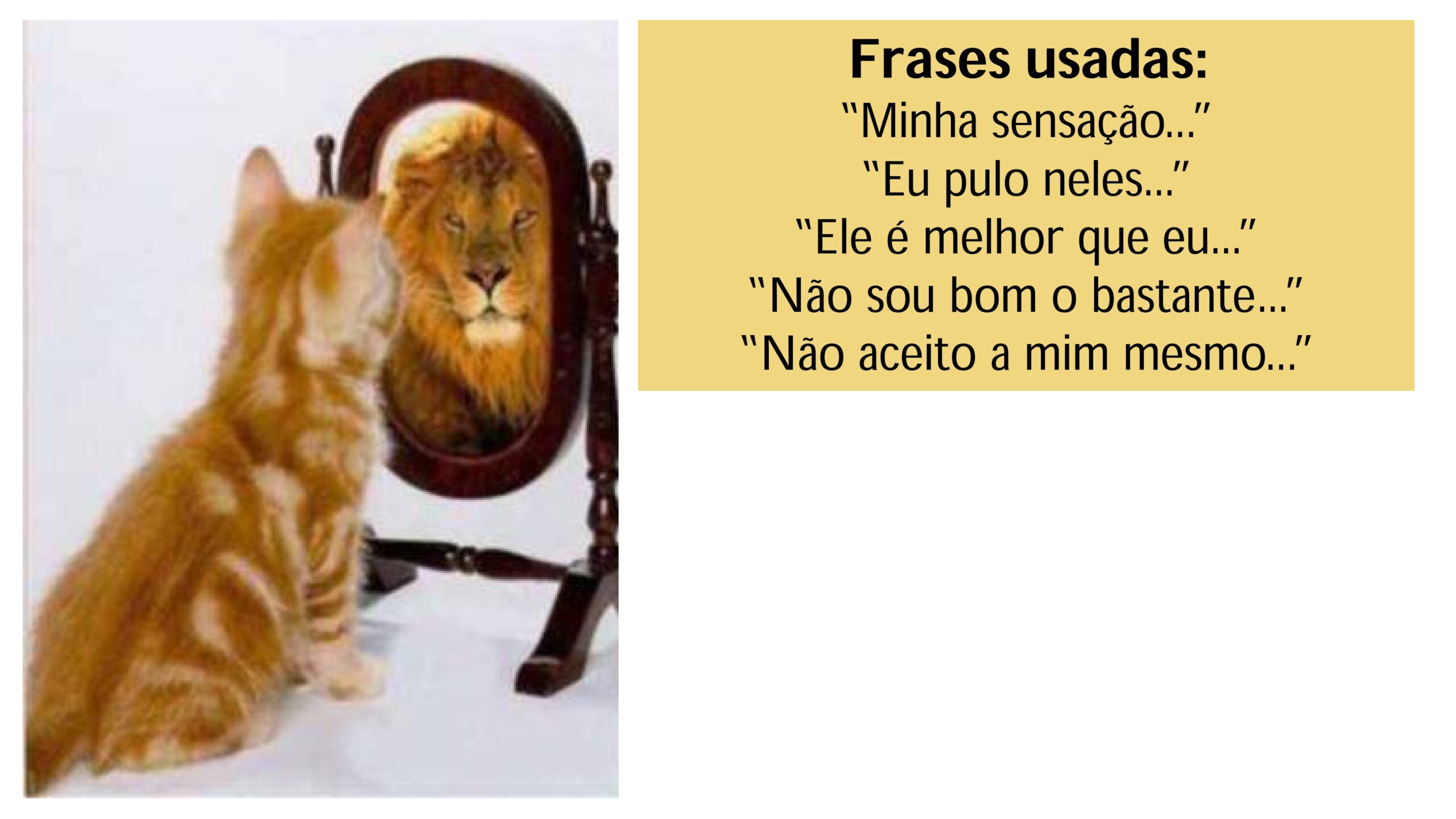 Intrudução ao estudo das Matérias Médicas - Profa. Tarita Deboni_page-0021