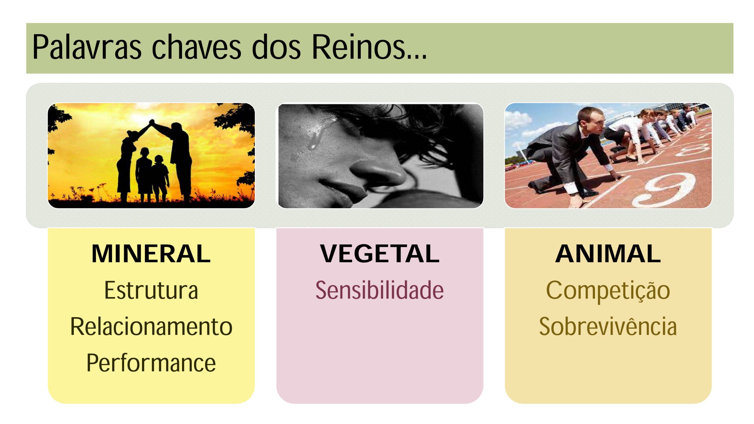 Intrudução ao estudo das Matérias Médicas - Profa. Tarita Deboni_page-0024