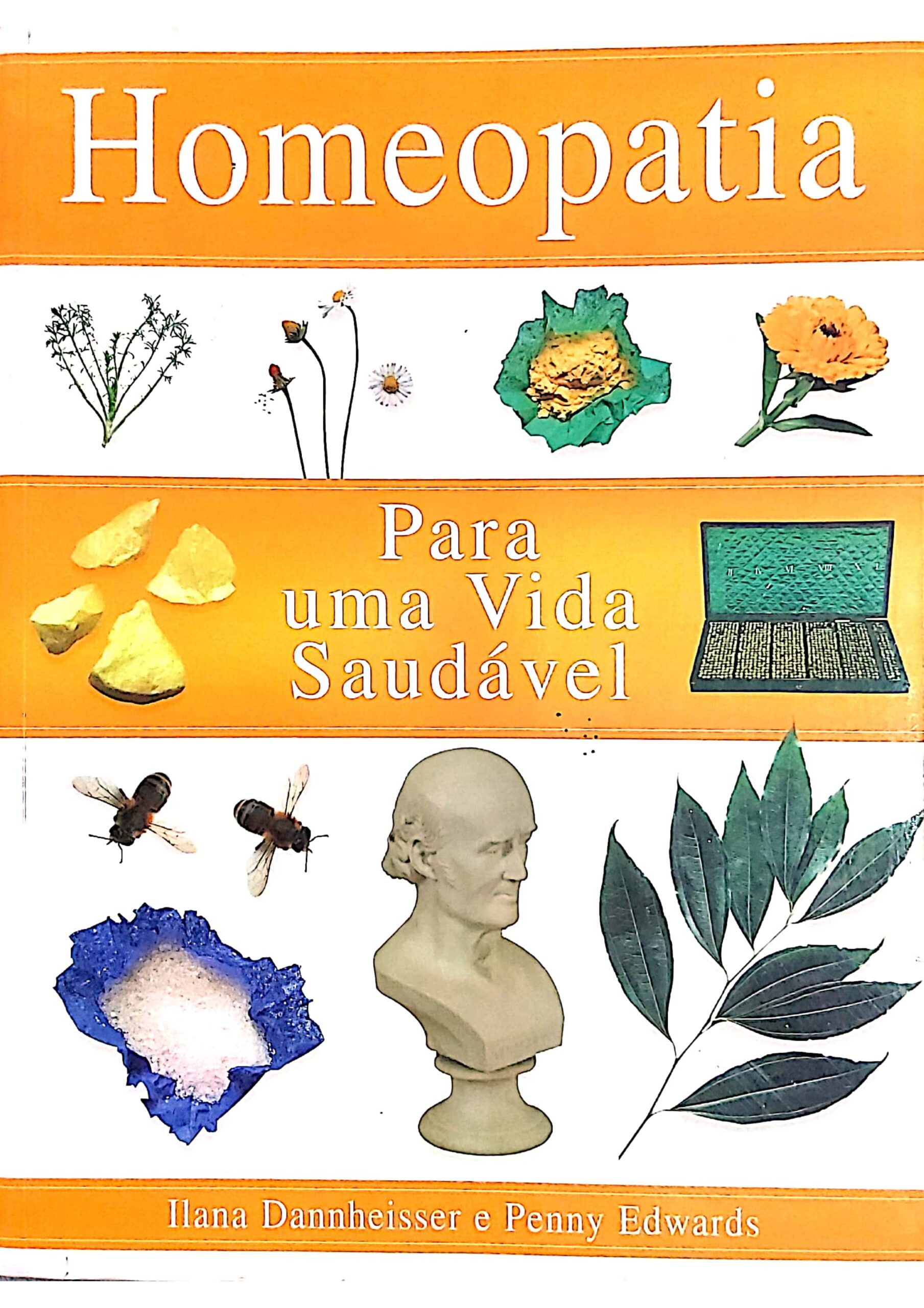 Lycopodium_page-0001