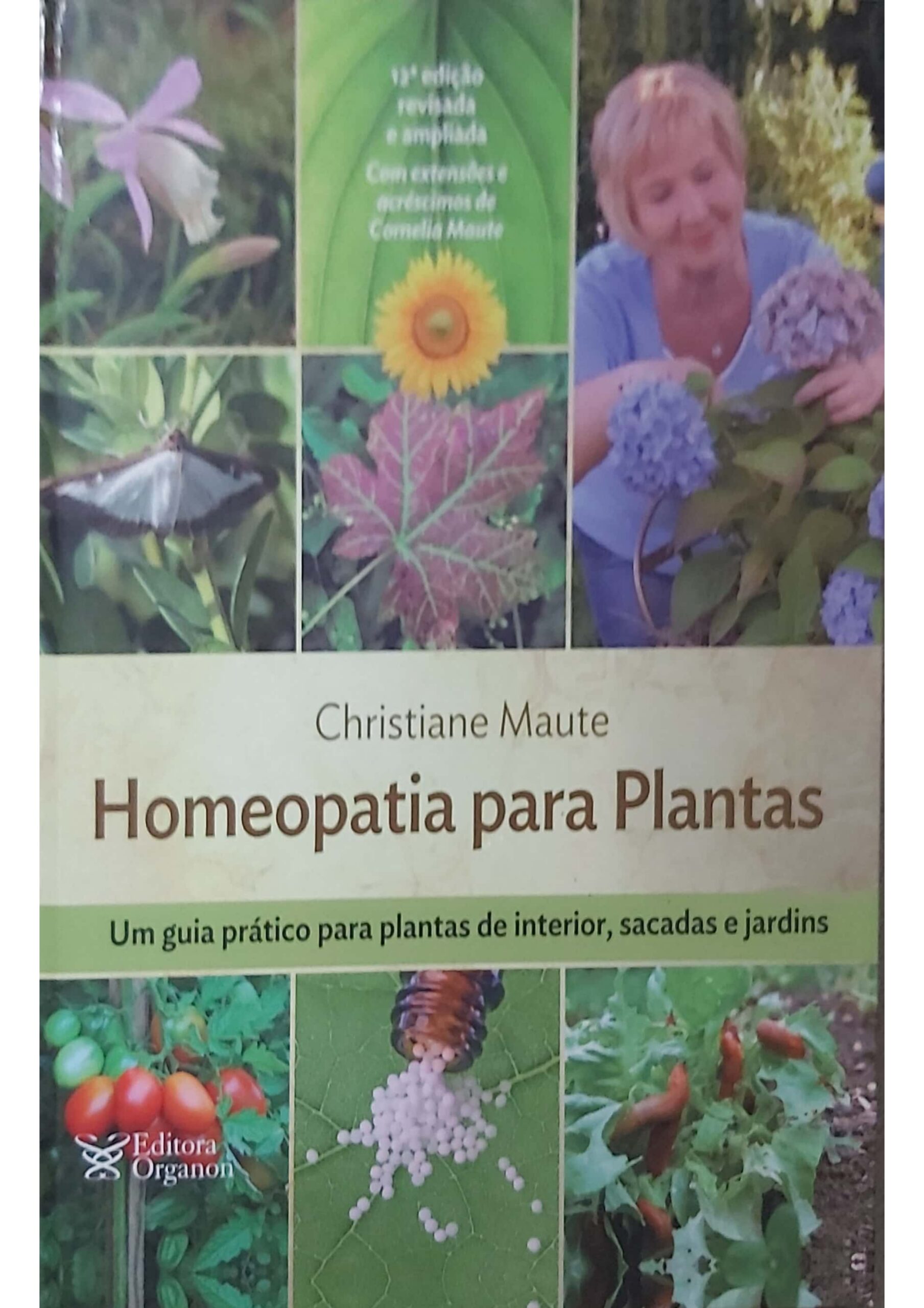 Lycopodium_page-0004