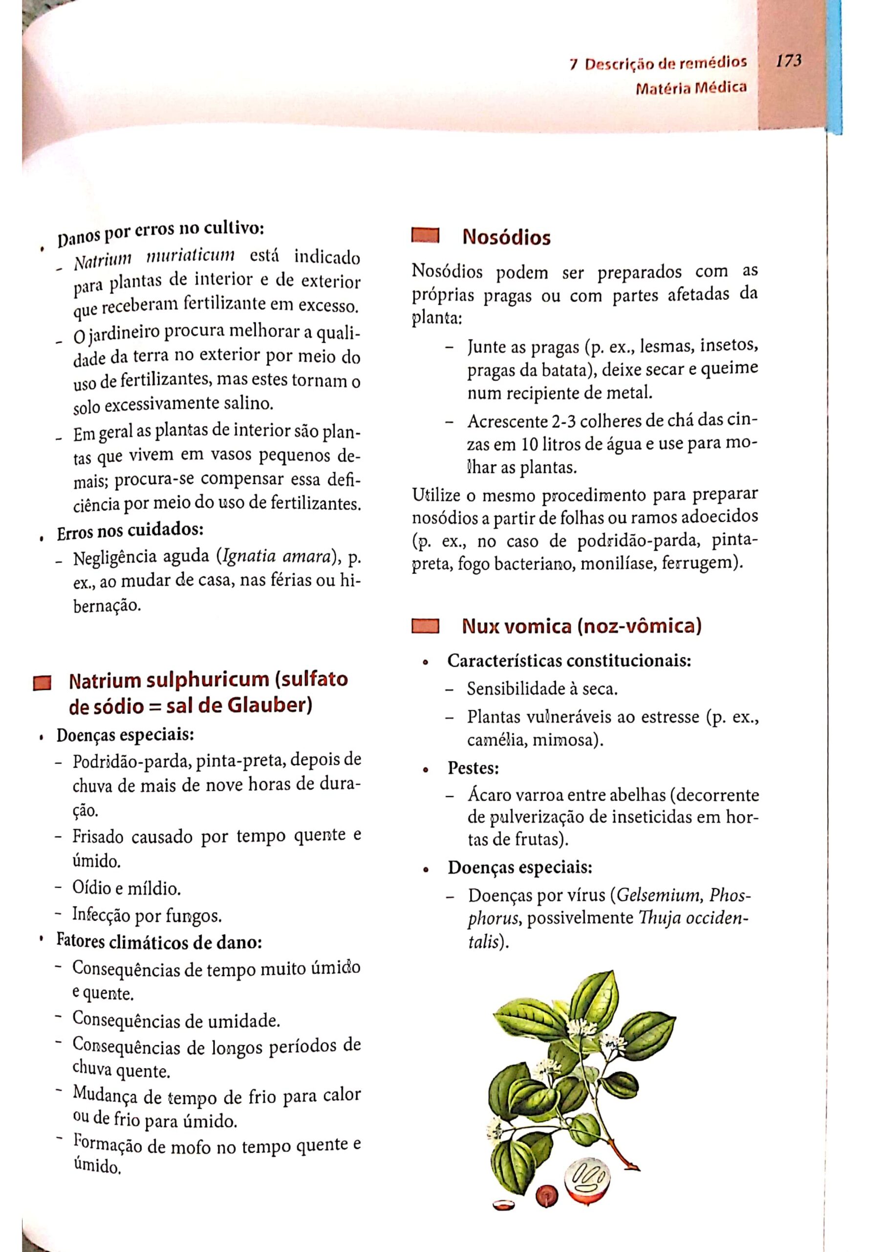 Nux vomica_page-0017