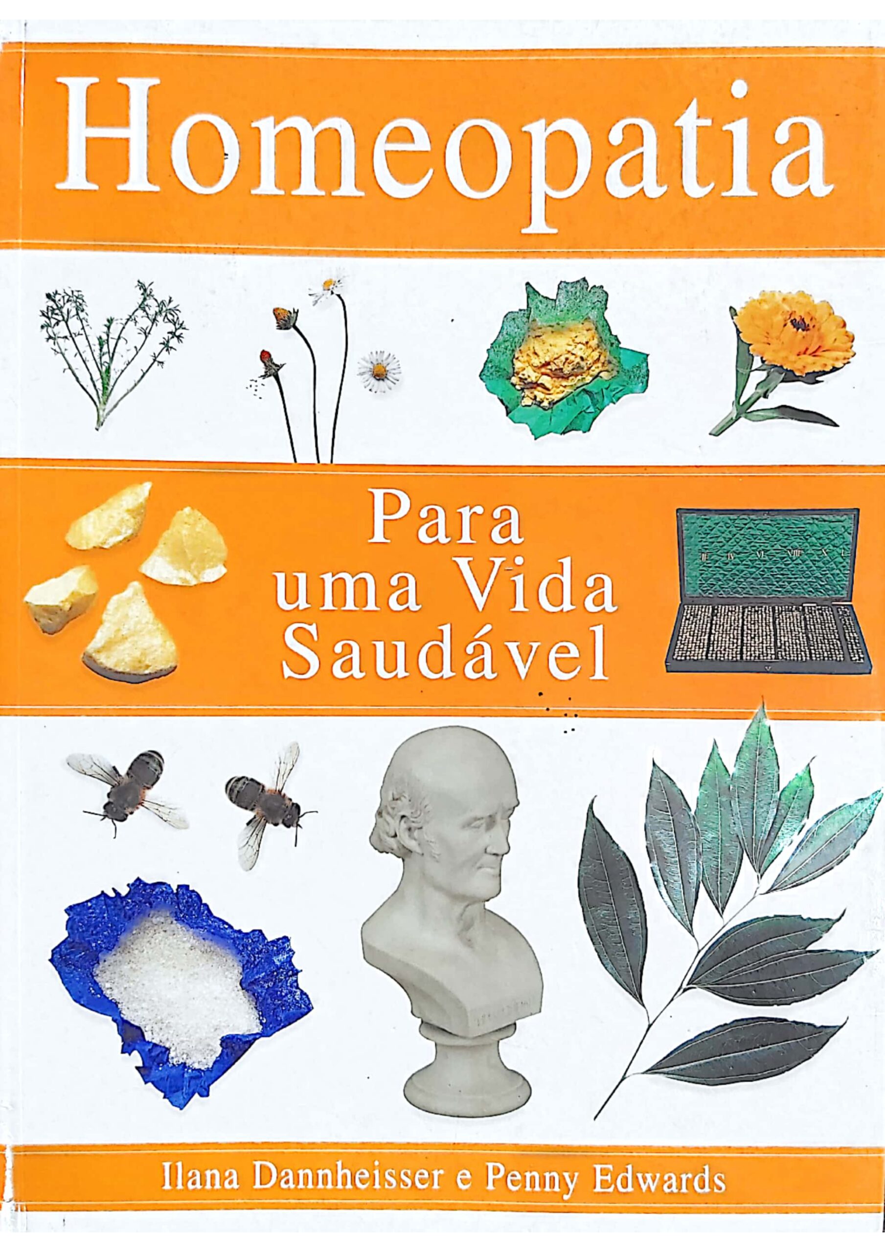 Pulsatilla (1)_page-0001