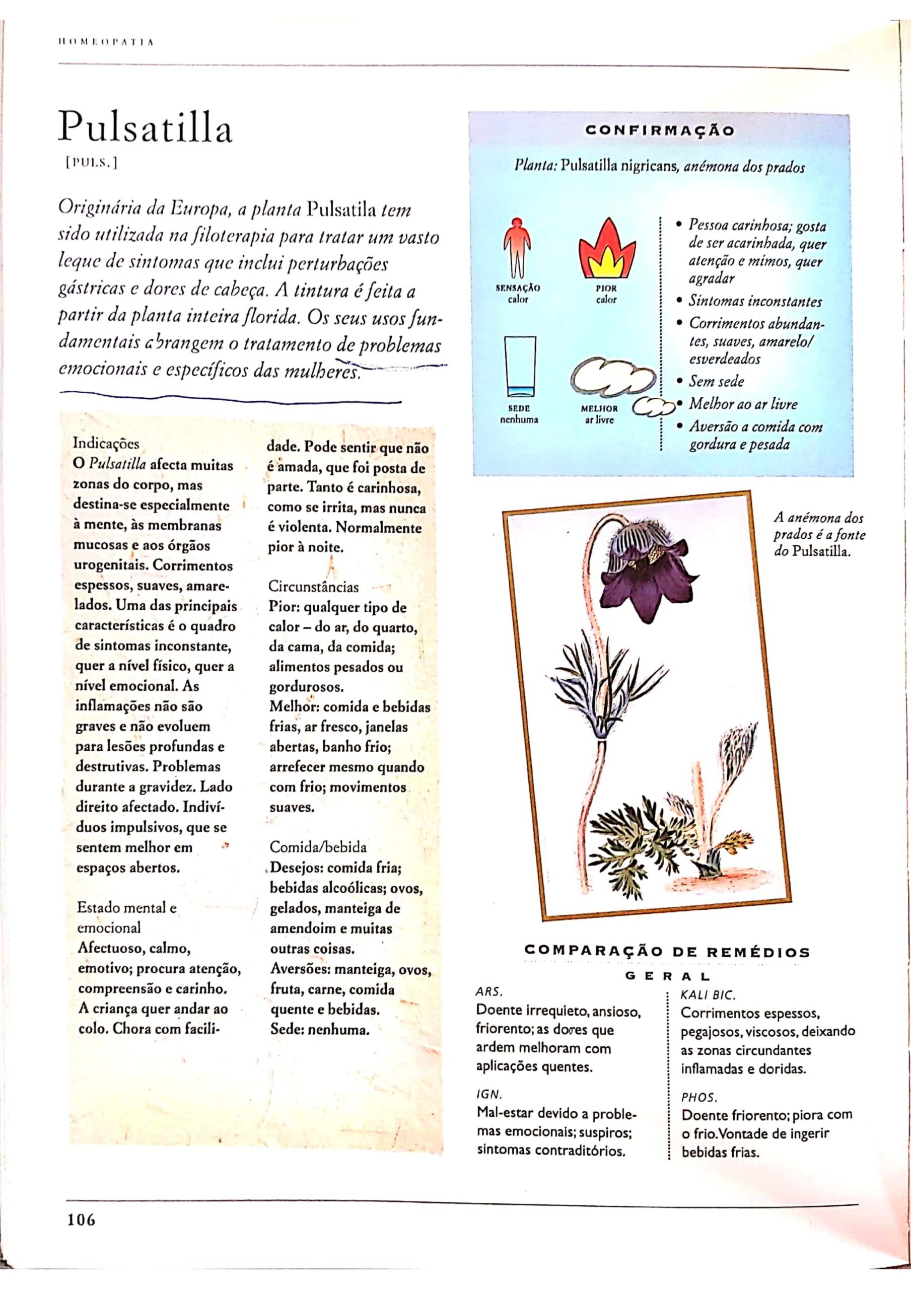 Pulsatilla (1)_page-0002