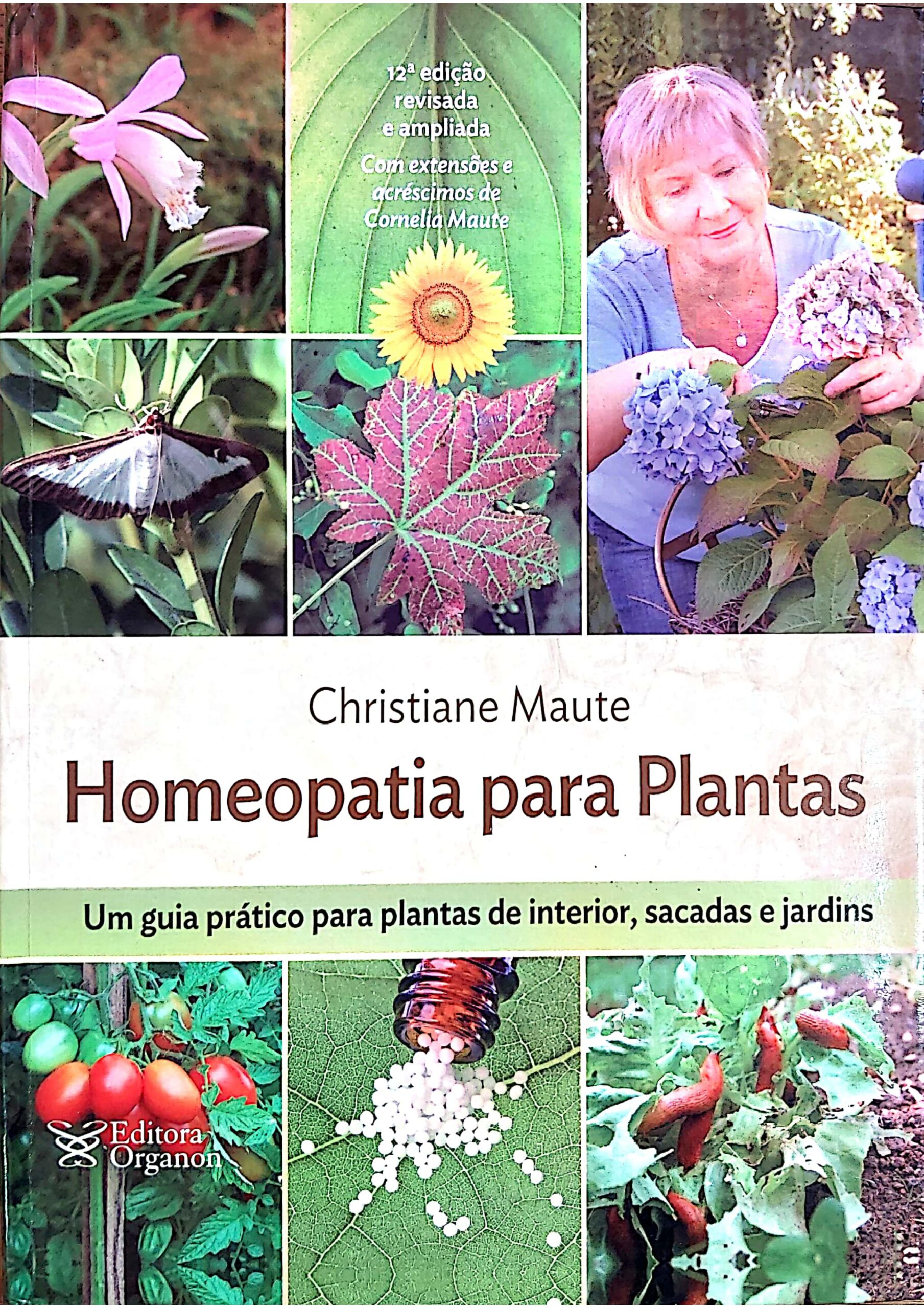 Pulsatilla (1)_page-0013