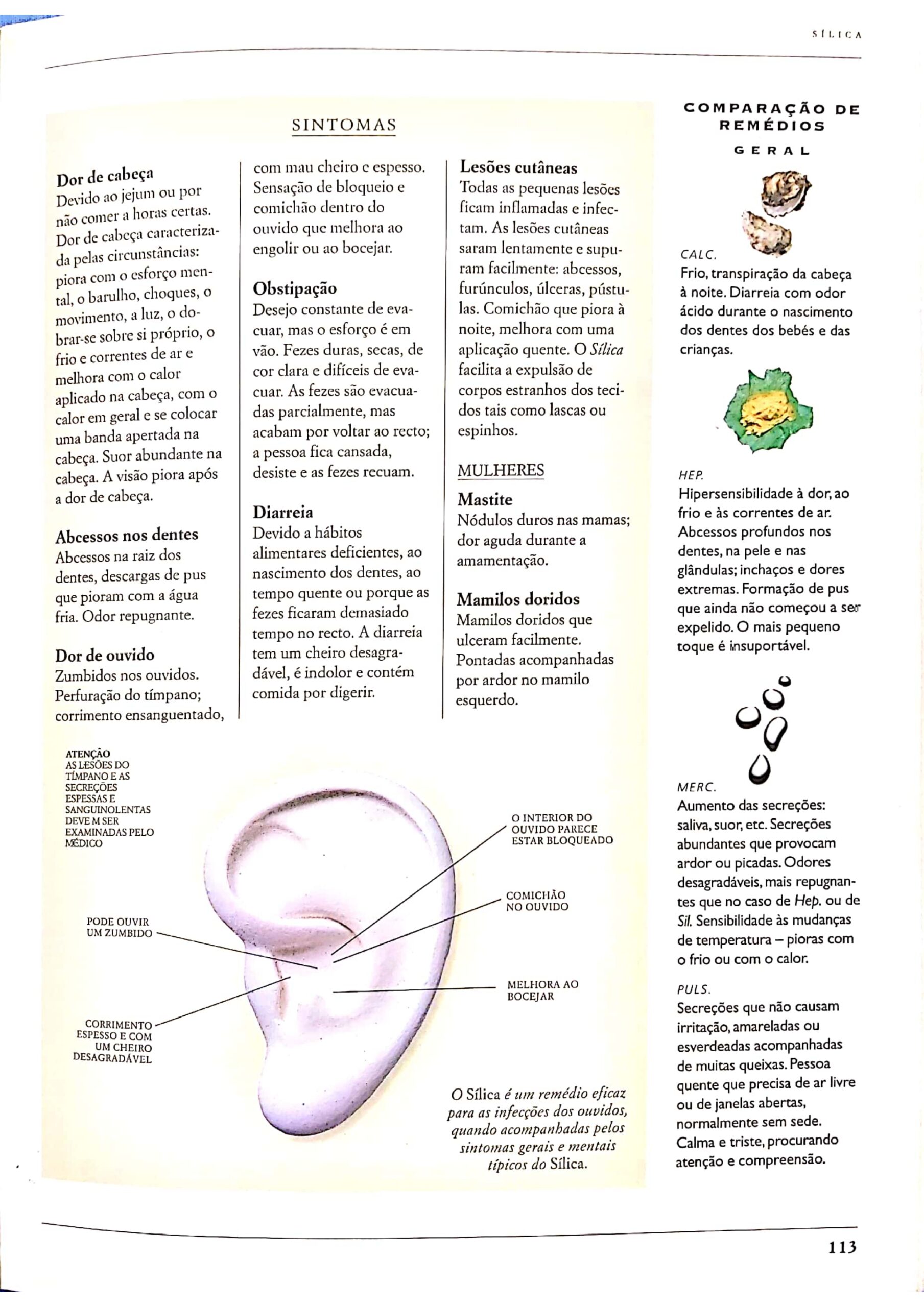 Silicea terra_page-0003