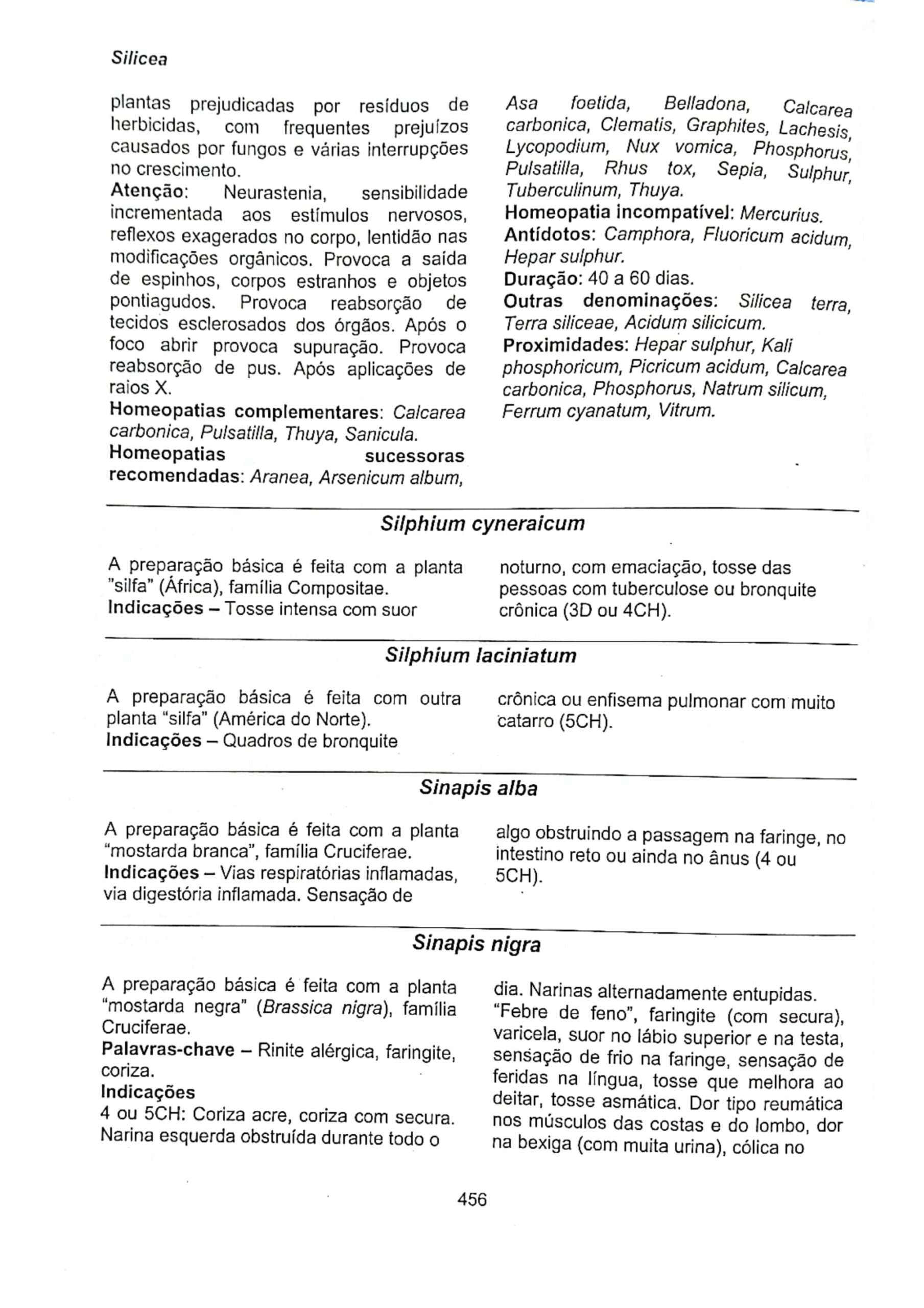 Silicea terra_page-0021