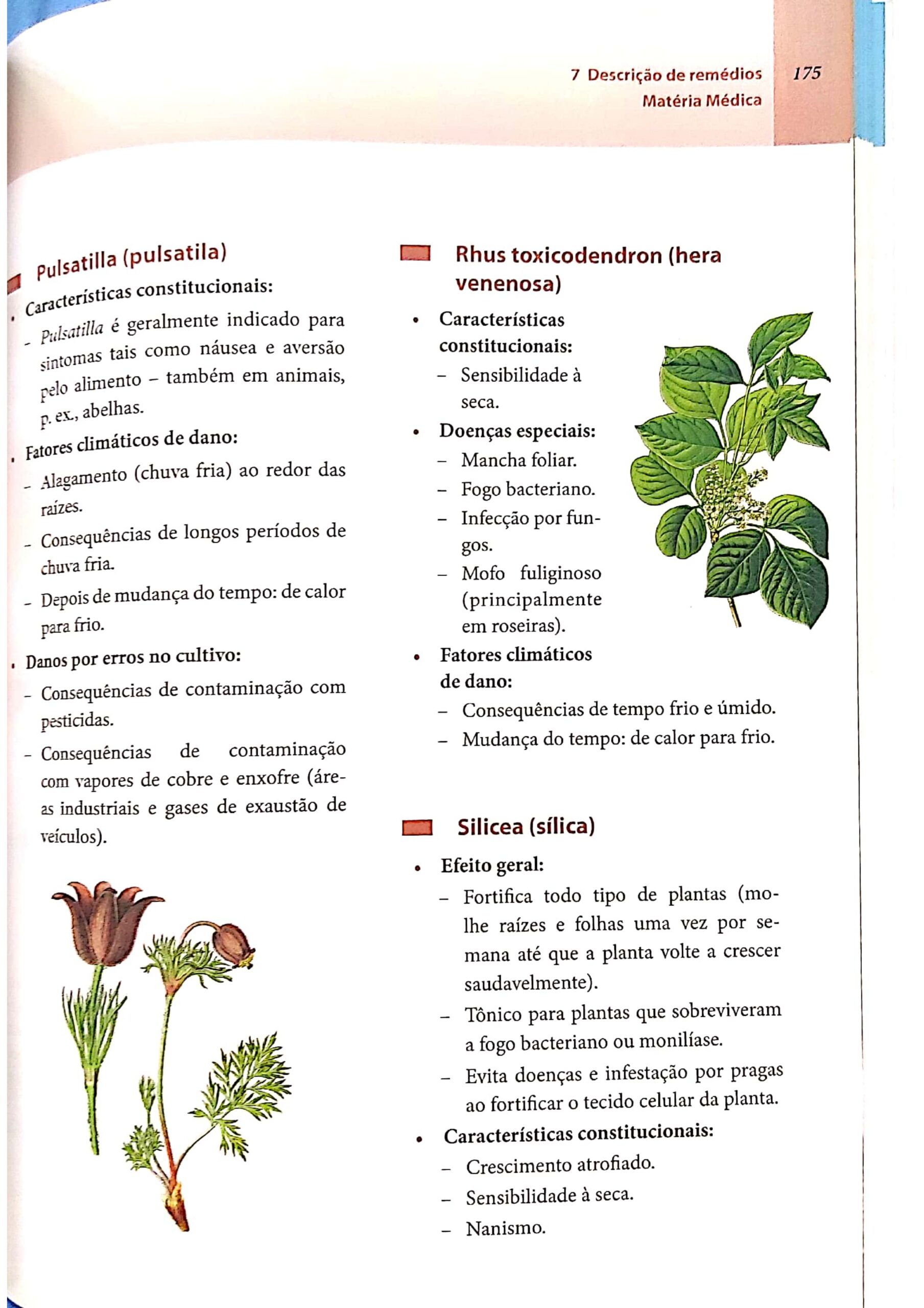 Silicea terra_page-0023