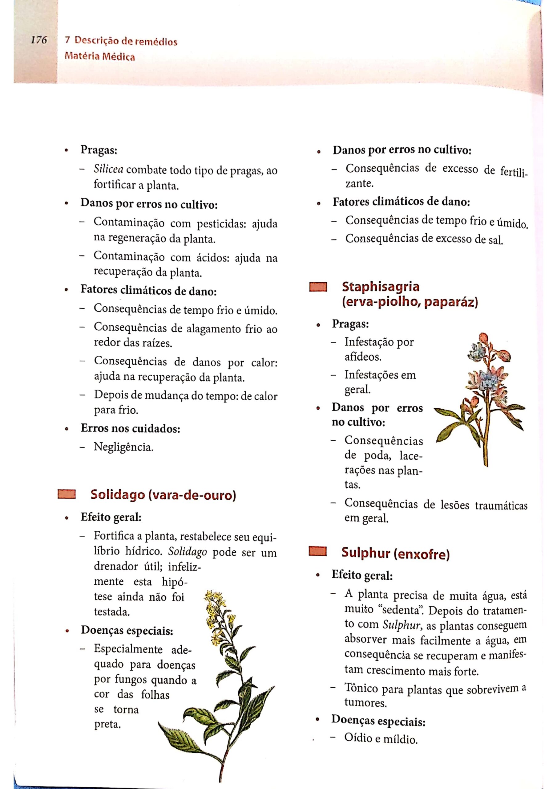 Silicea terra_page-0024