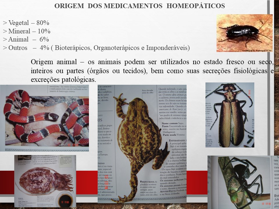 Slide16