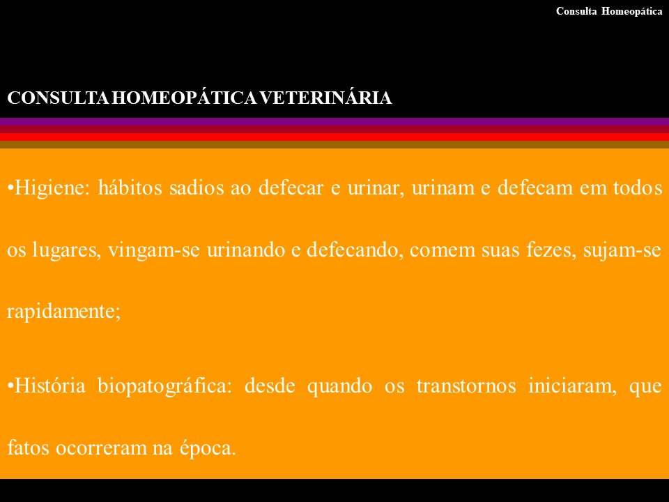 Slide20