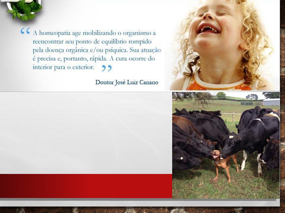 Slide33