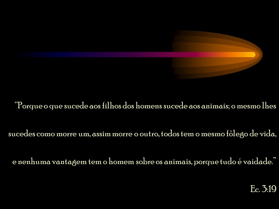 Slide33