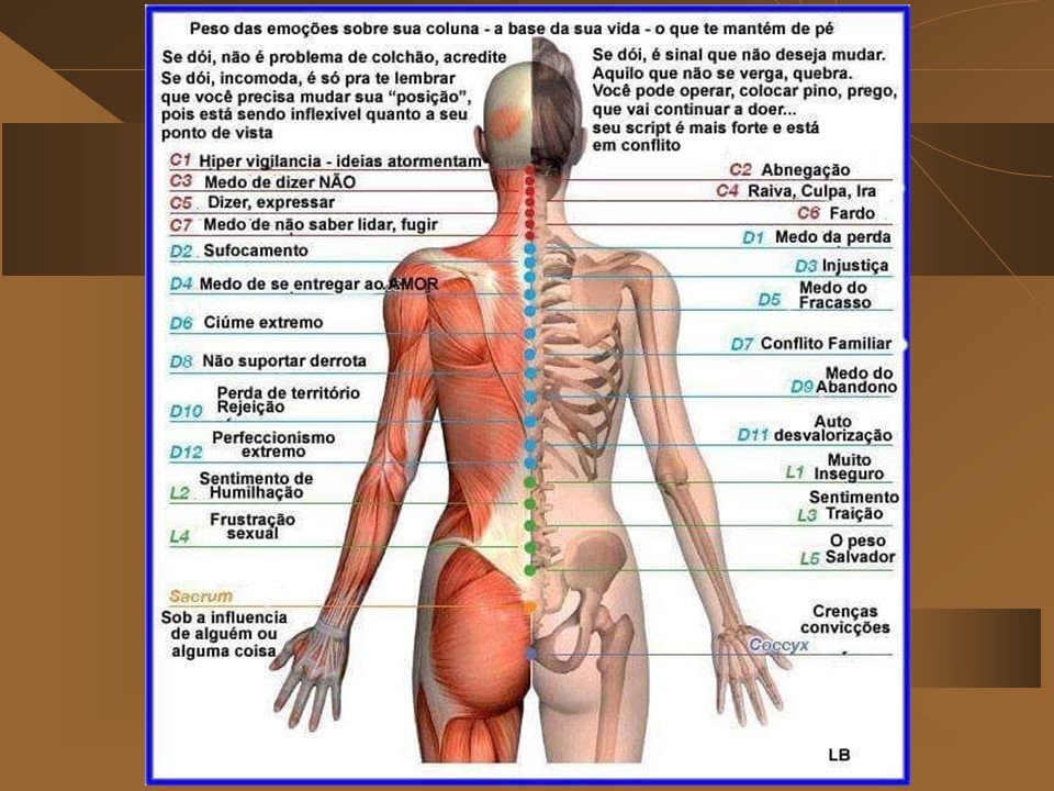 Slide41