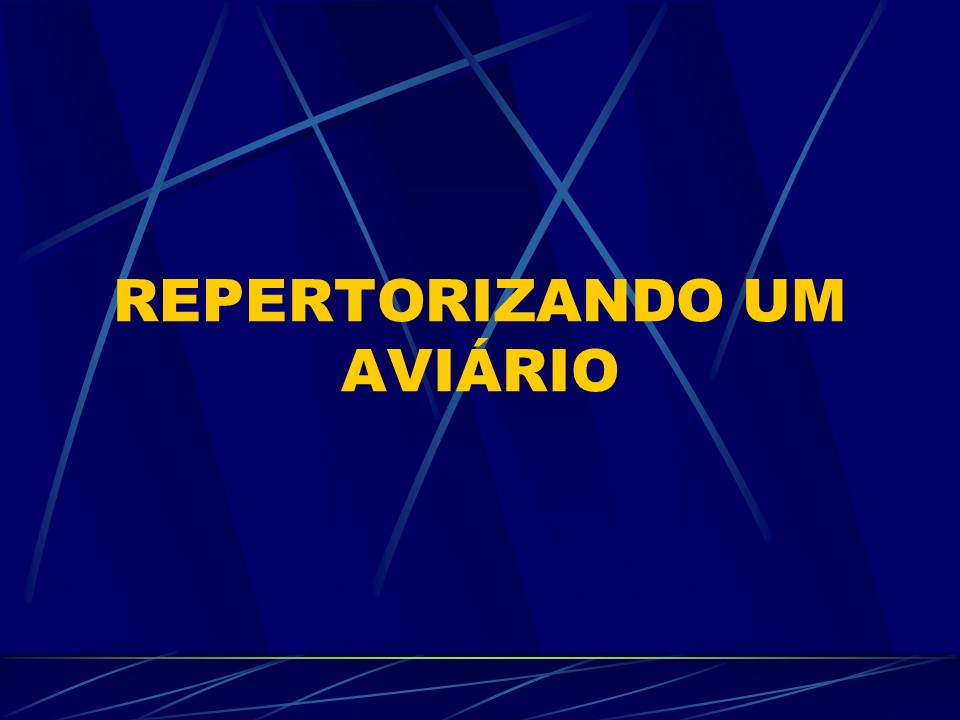 Slide49