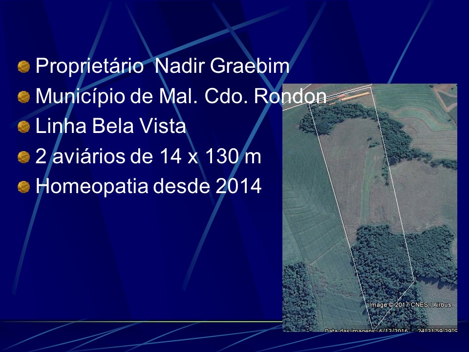 Slide51