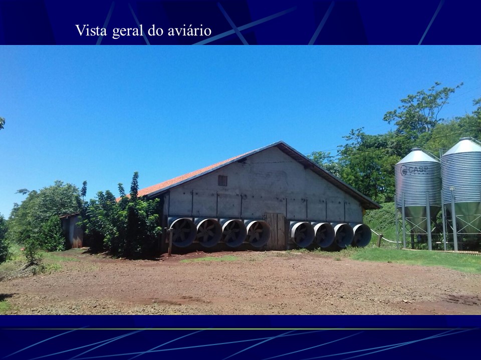 Slide61