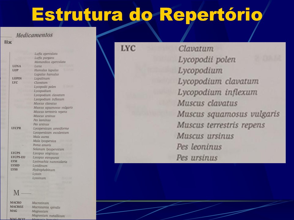 Slide7
