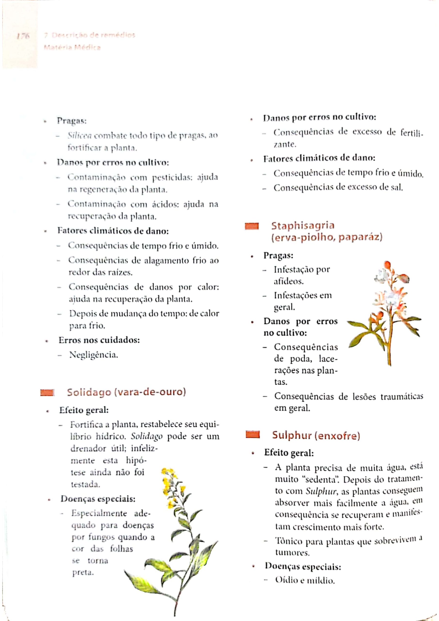 Staphysagria_page-0016