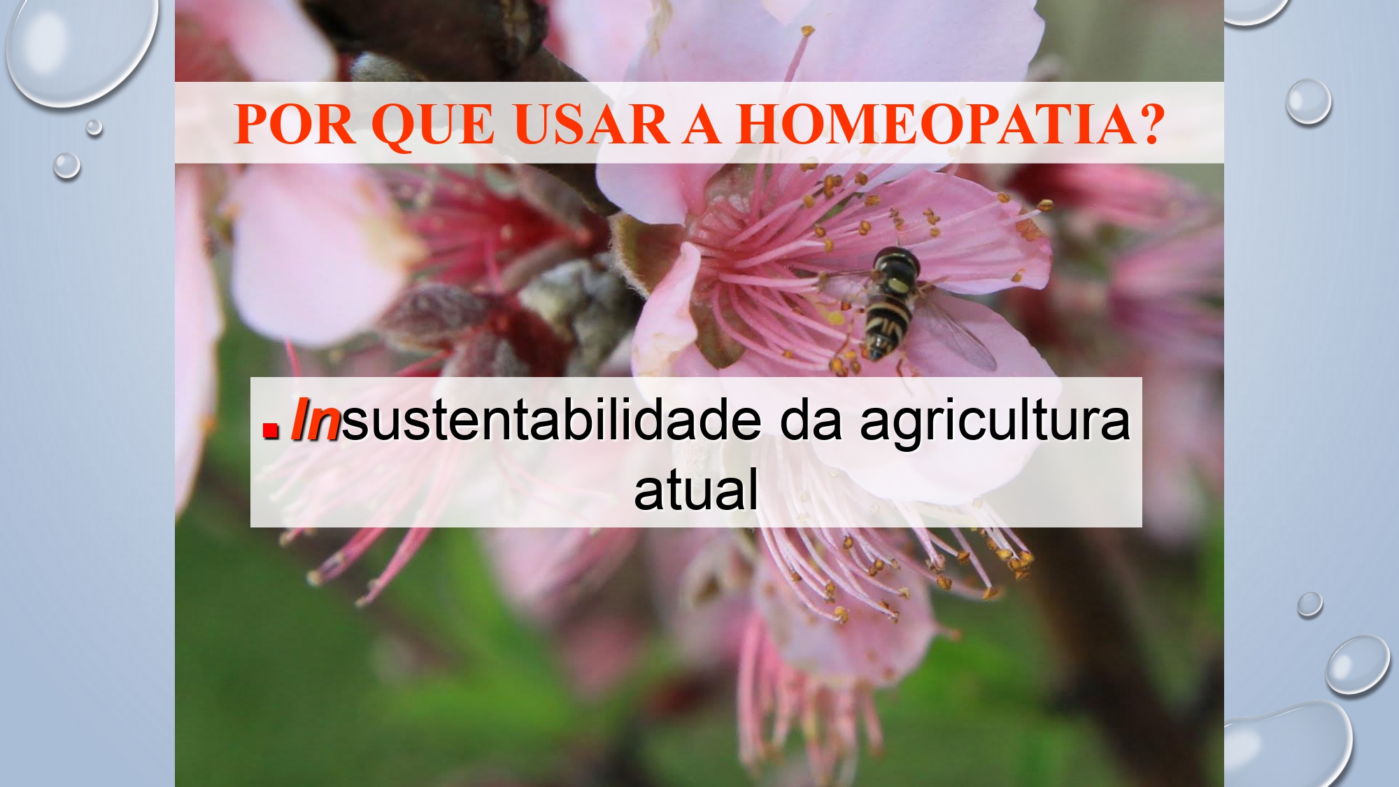 CAPA Homeopatia em Plantas - Agroecologia 3_page-0002