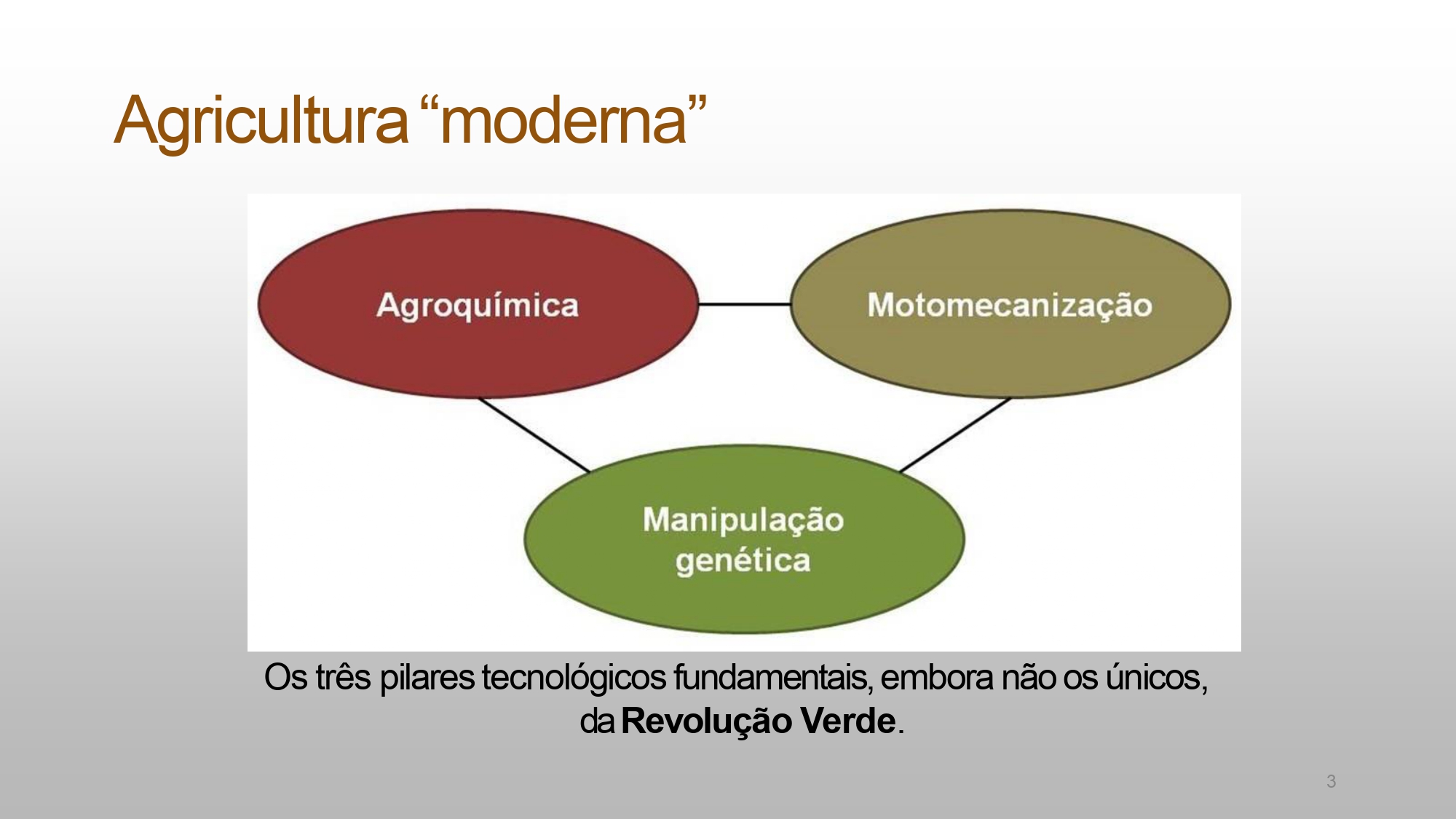 CAPA Homeopatia em Plantas - Agroecologia 3_page-0003