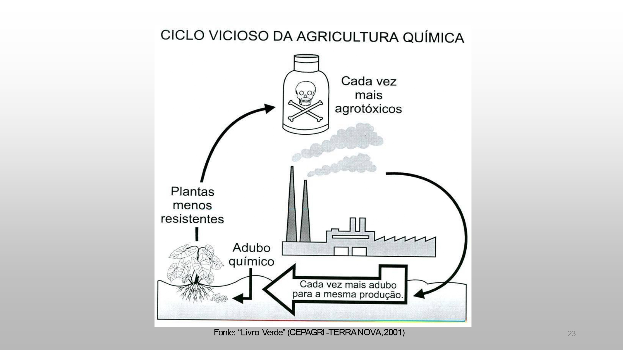 CAPA Homeopatia em Plantas - Agroecologia 3_page-0024