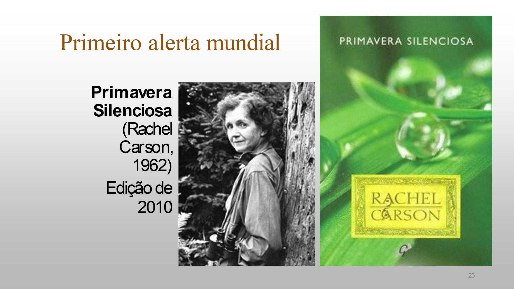 CAPA Homeopatia em Plantas - Agroecologia 3_page-0025