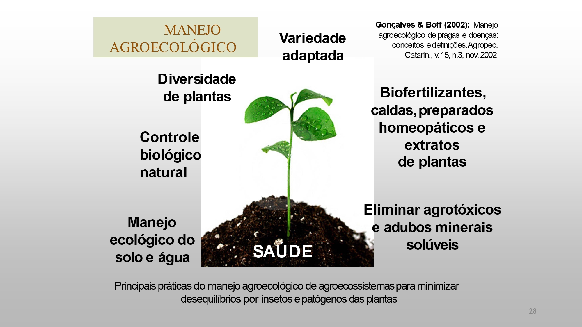 CAPA Homeopatia em Plantas - Agroecologia 3_page-0028